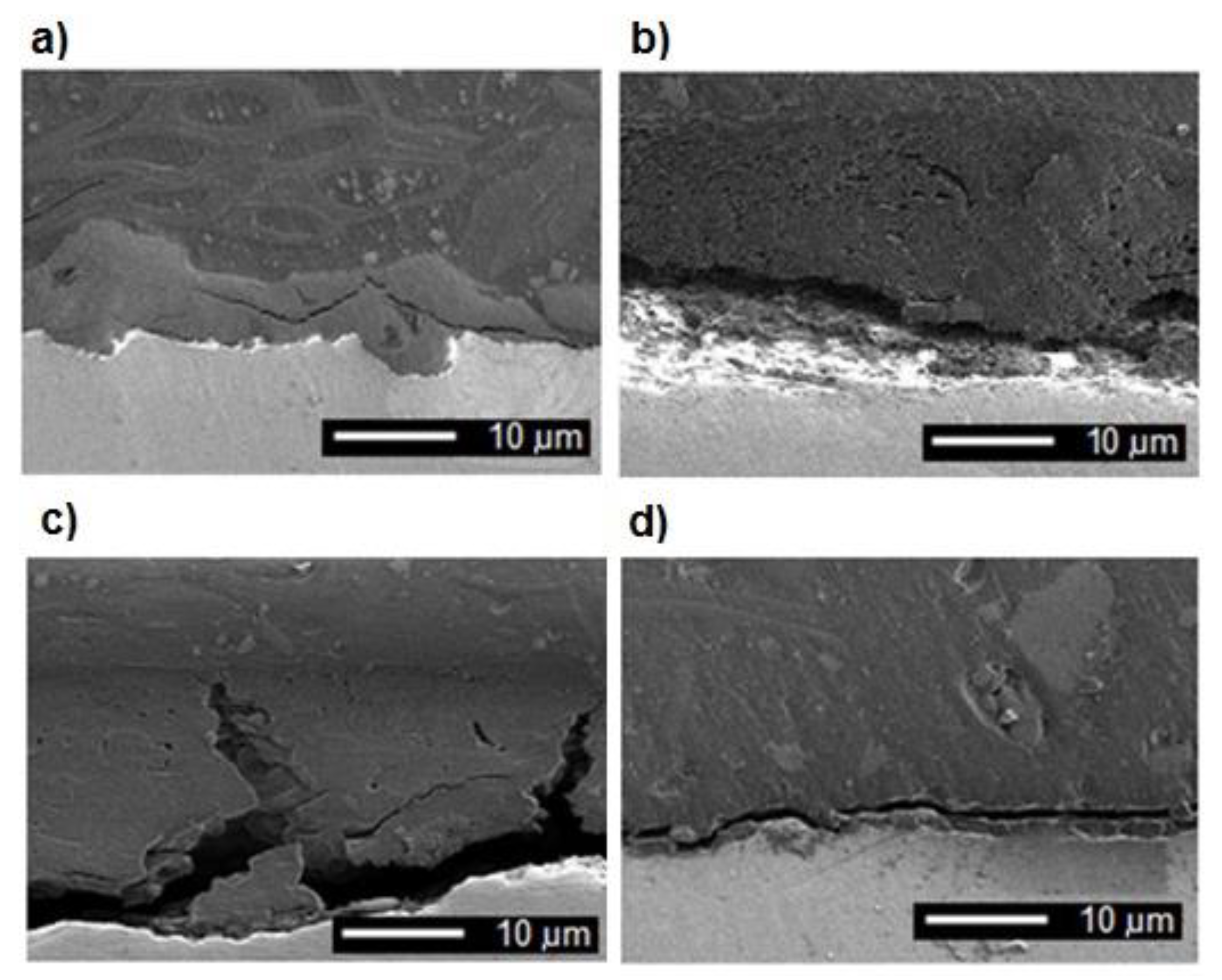 Coatings 10 00836 g005 Coatings 10 00836 g005