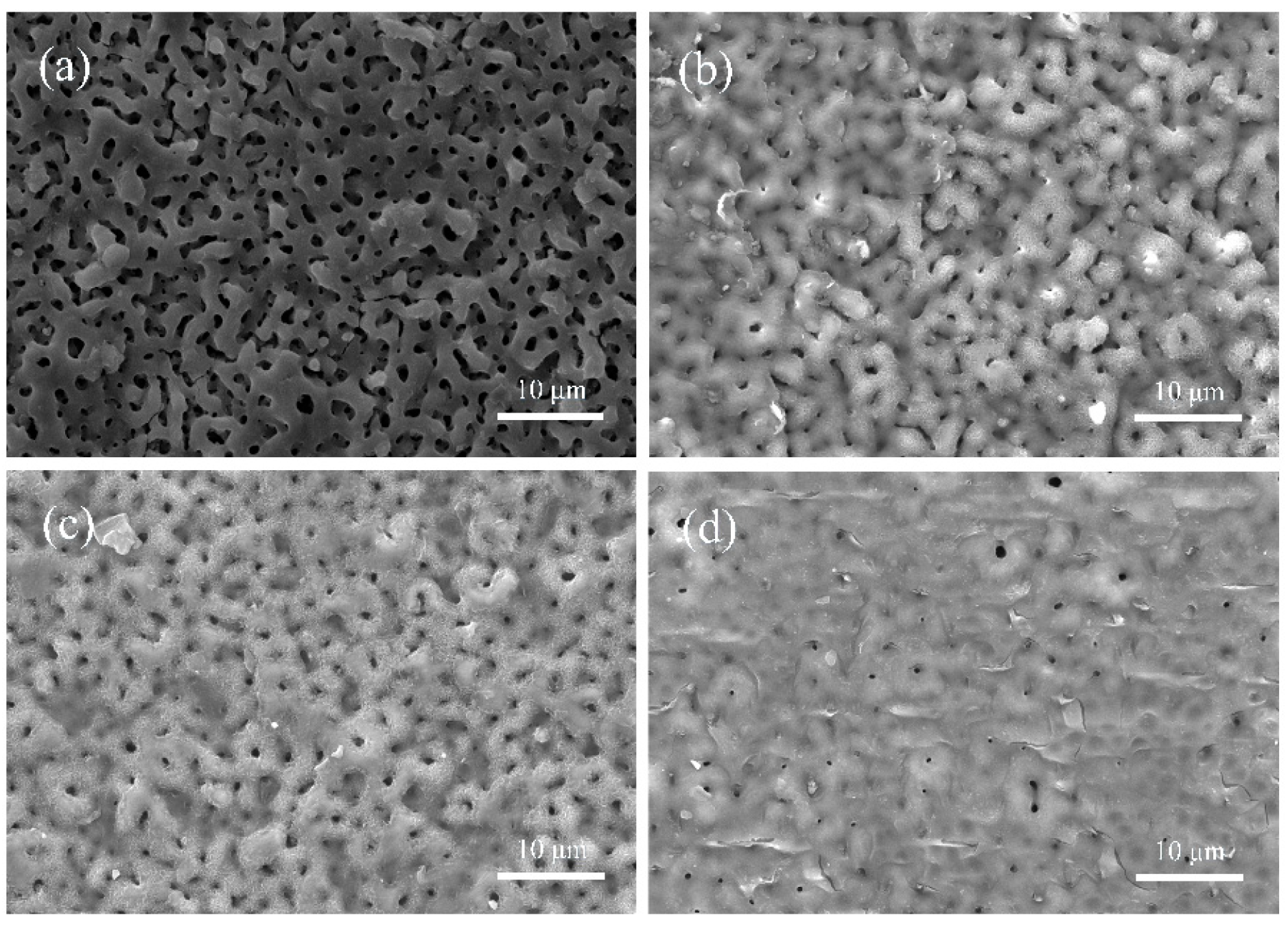 Coatings 10 00837 g001