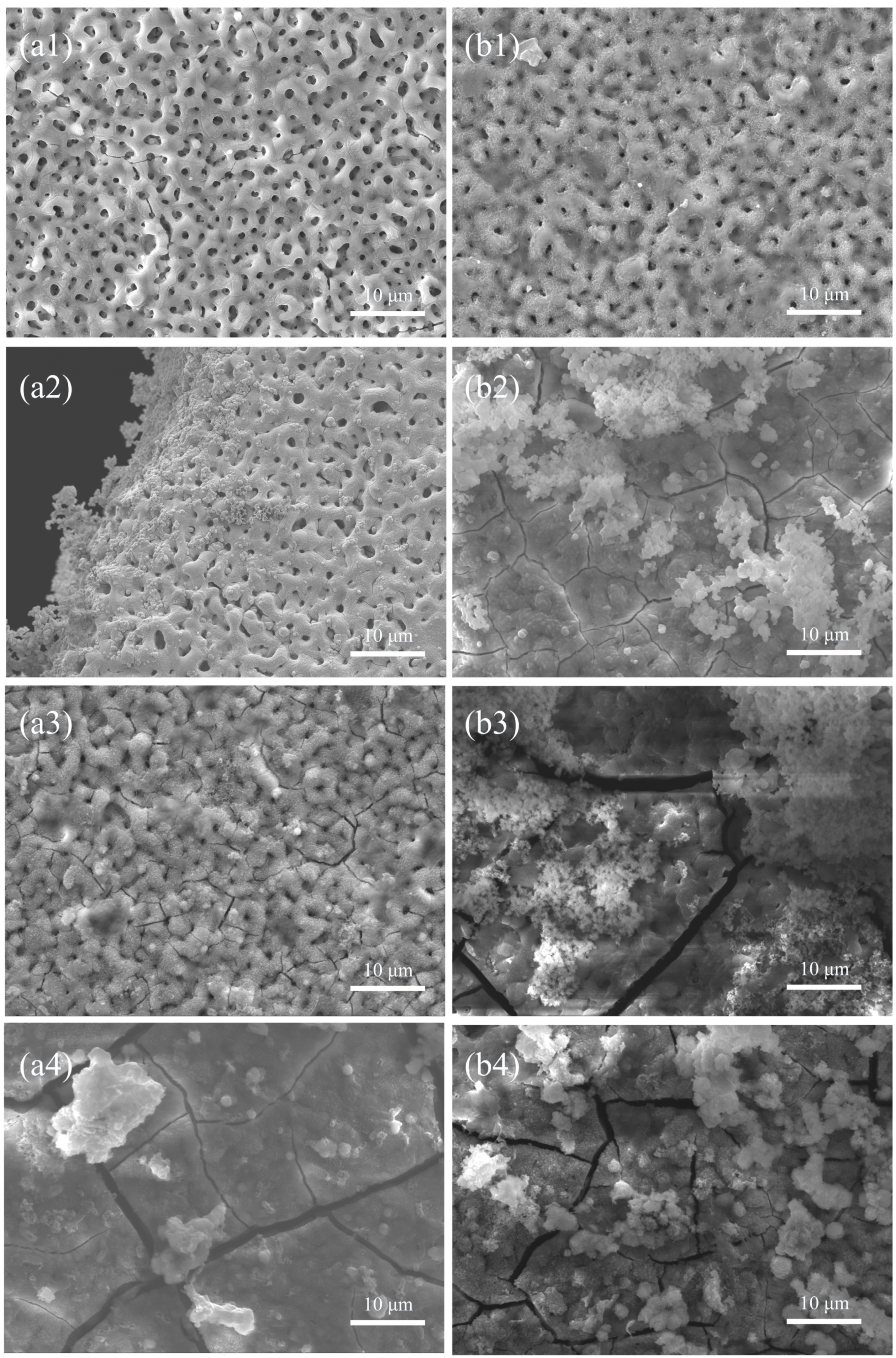 Coatings 10 00837 g009