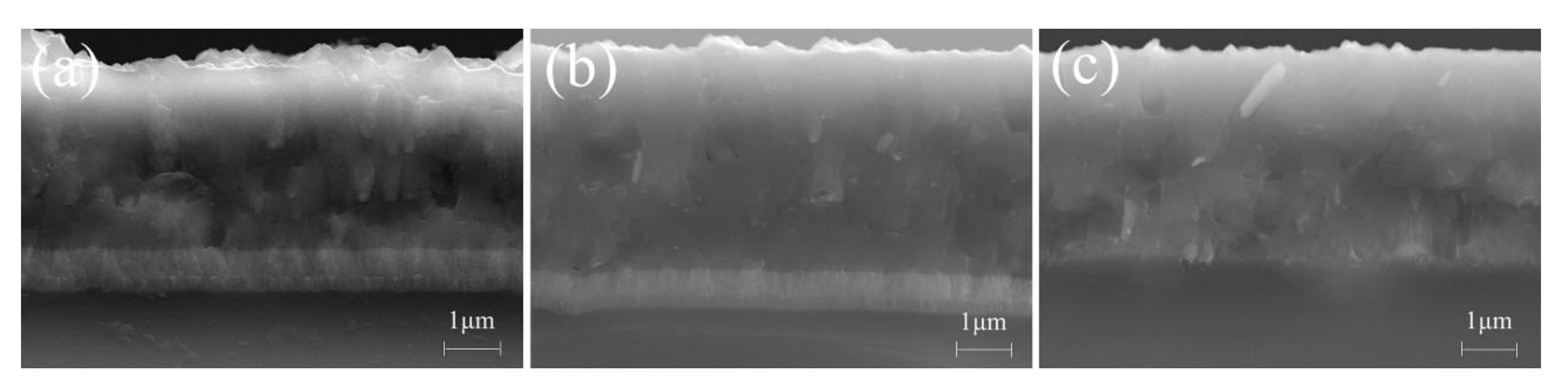Coatings 10 00841 g004