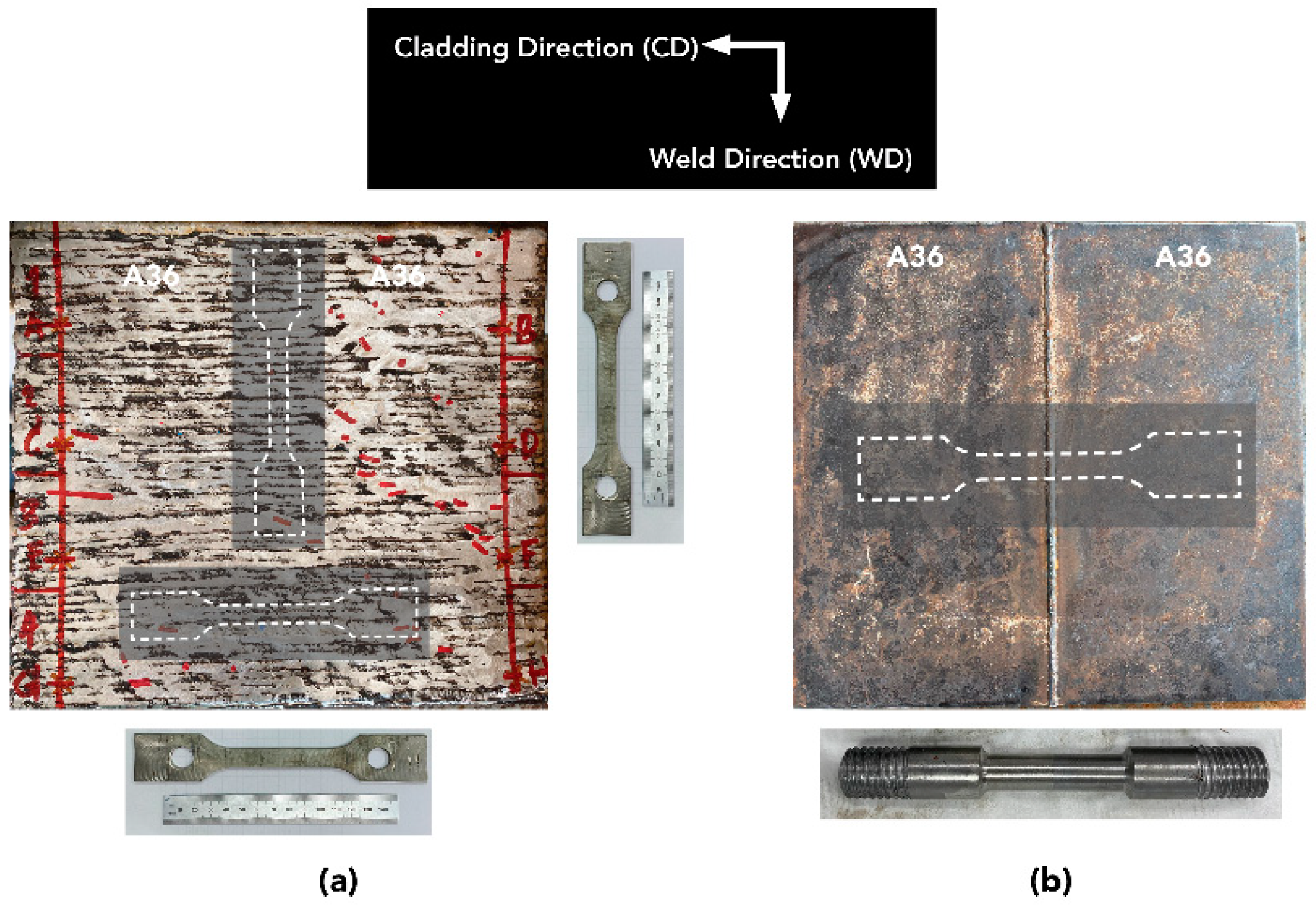 Coatings 10 00844 g005
