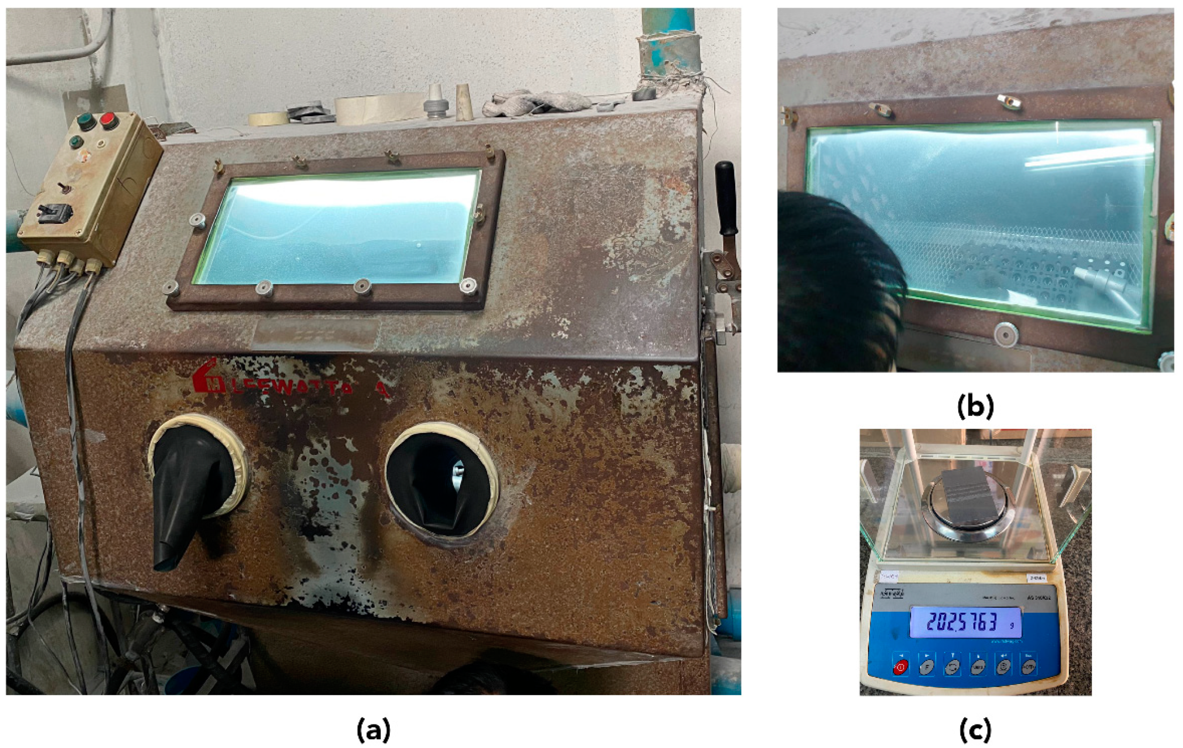 Coatings 10 00844 g008
