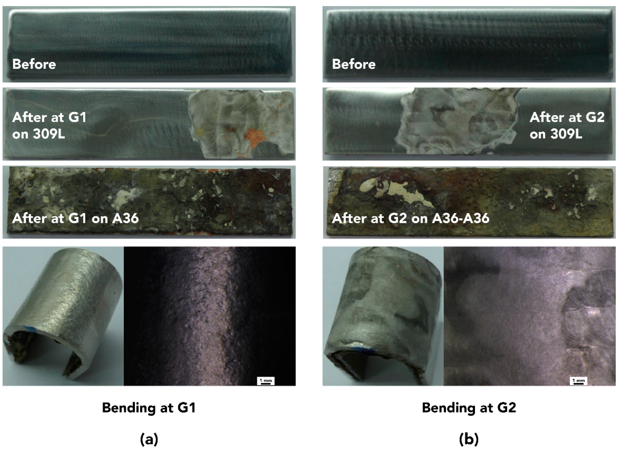 Coatings 10 00844 g014