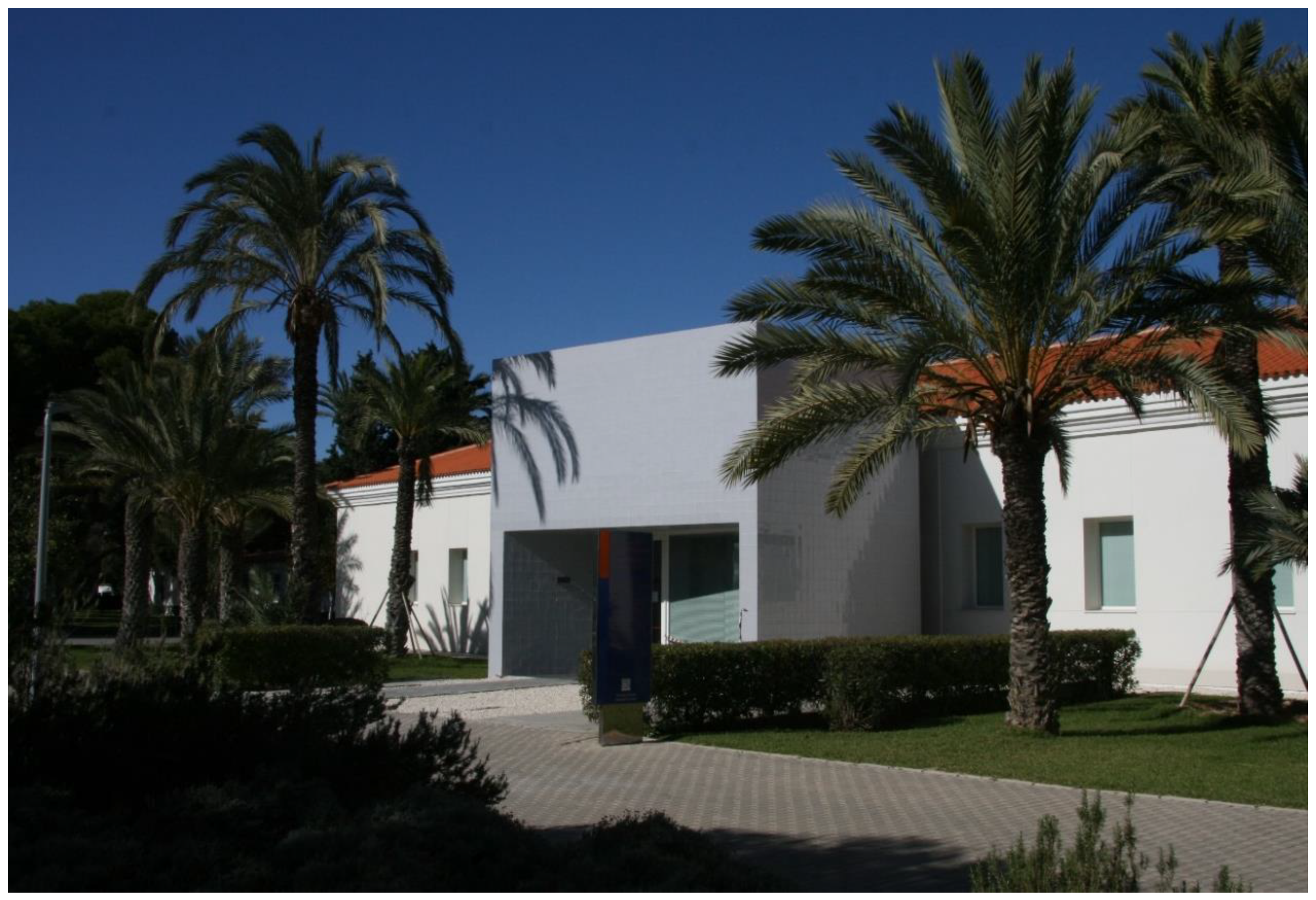 Coatings 10 00854 g002 Coatings 10 00854 g002