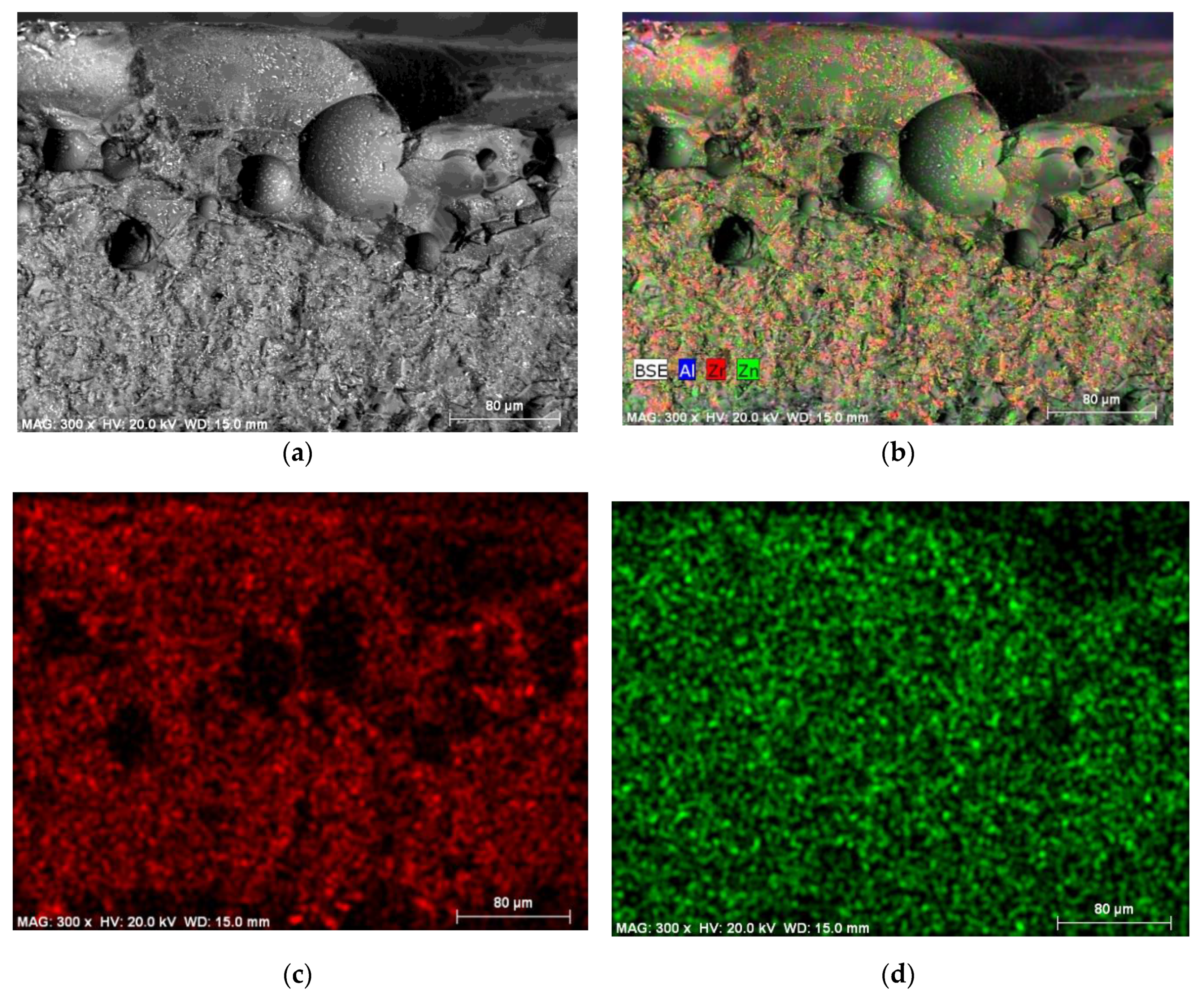 Coatings 10 00854 g011 Coatings 10 00854 g011