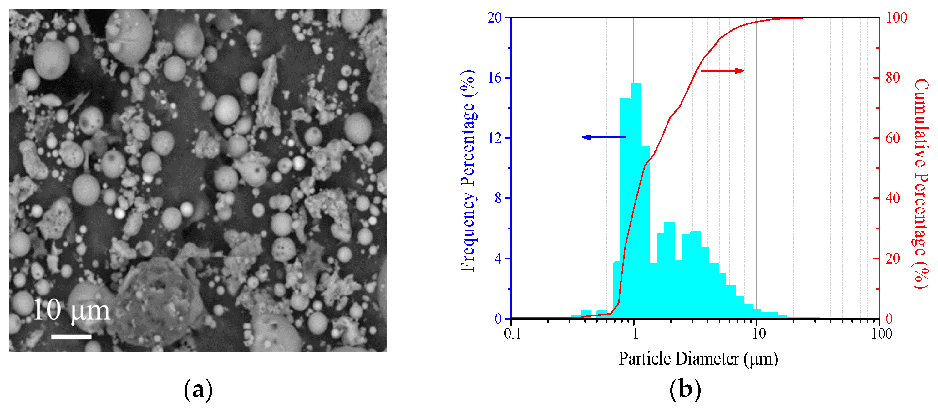 Coatings 10 00863 g004
