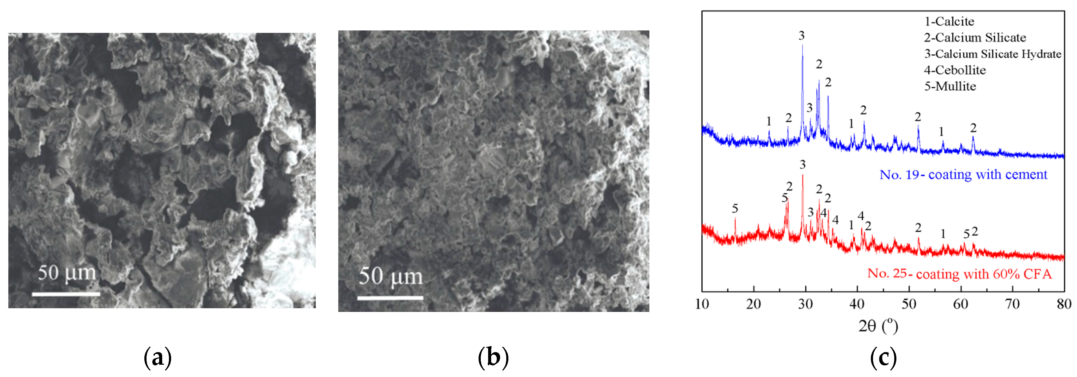 Coatings 10 00863 g006