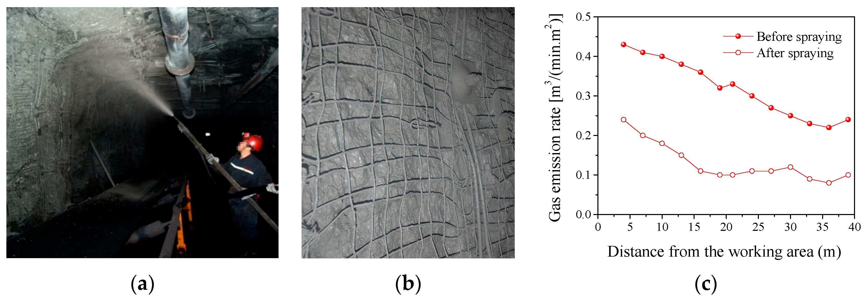 Coatings 10 00863 g008