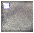 Coatings 10 00863 i030