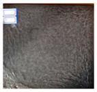 Coatings 10 00863 i031