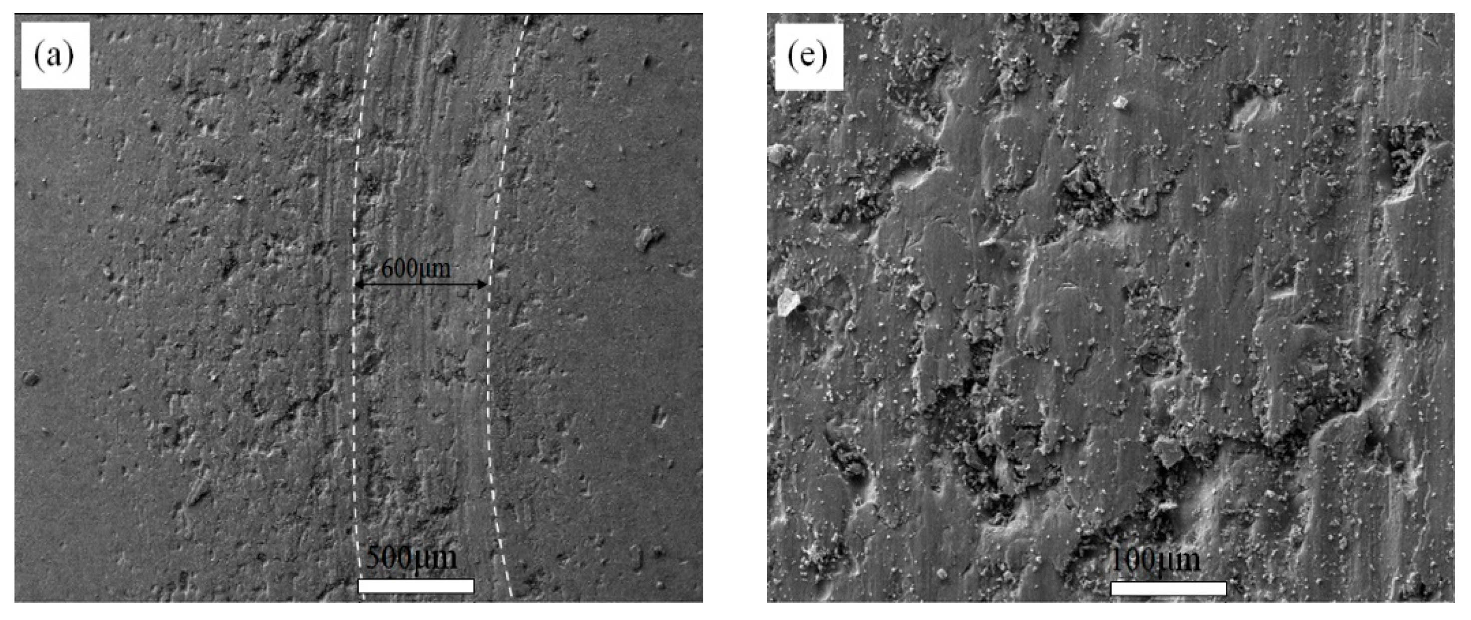 Coatings 10 00868 g008a