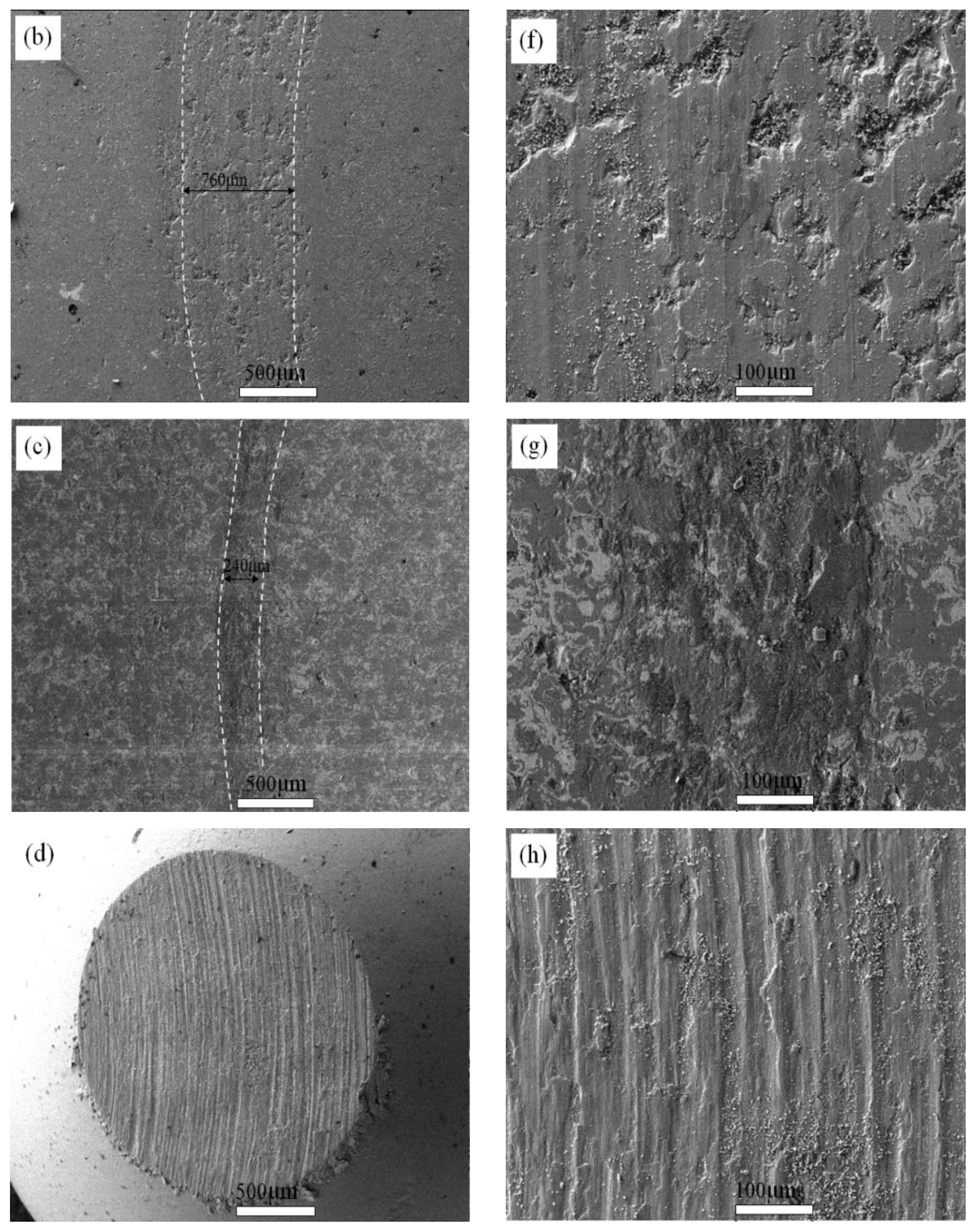 Coatings 10 00868 g008b