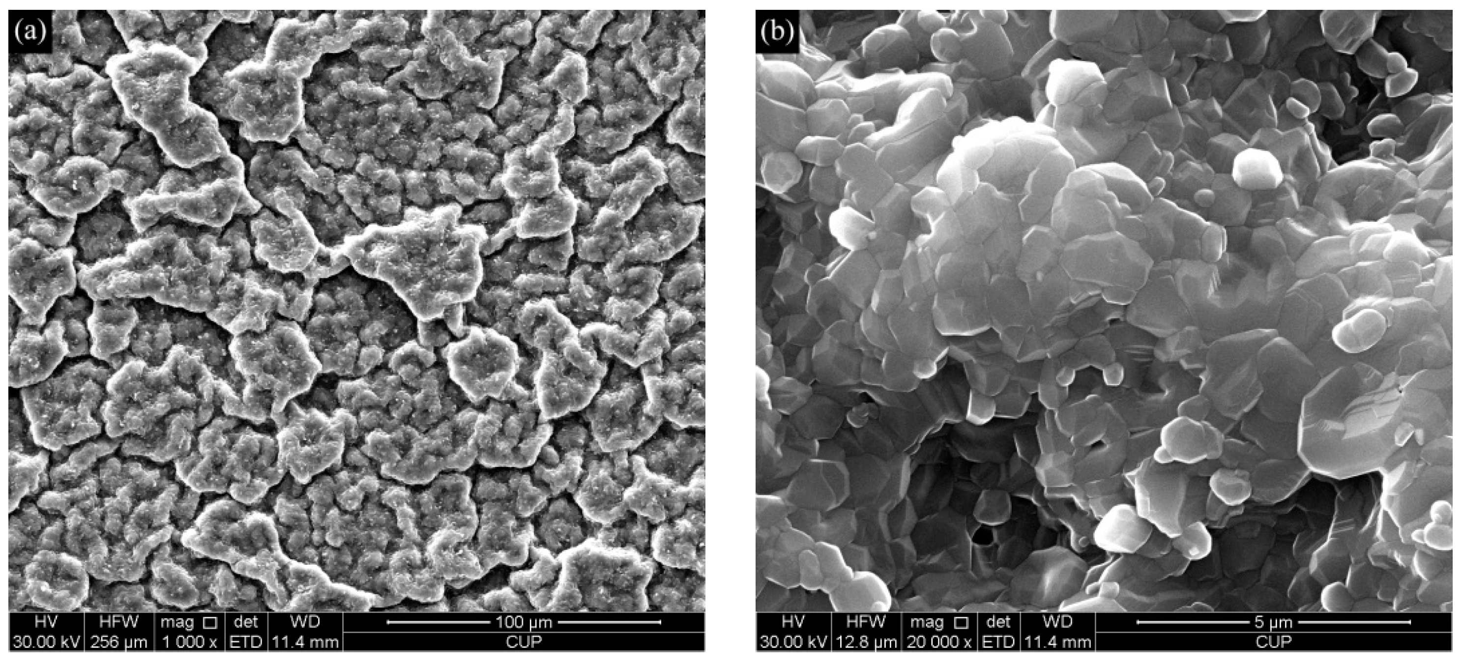 Coatings 10 00874 g007a Coatings 10 00874 g007a