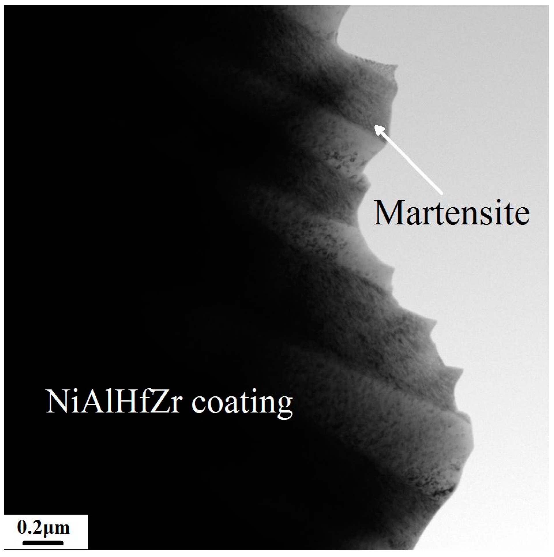 Coatings 10 00874 g012 Coatings 10 00874 g012