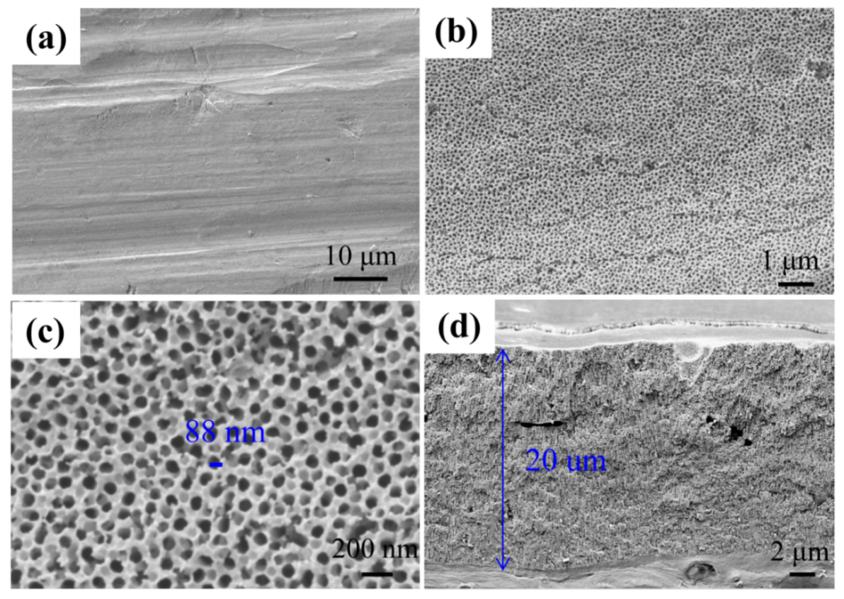 Coatings 10 00896 g002 Coatings 10 00896 g002