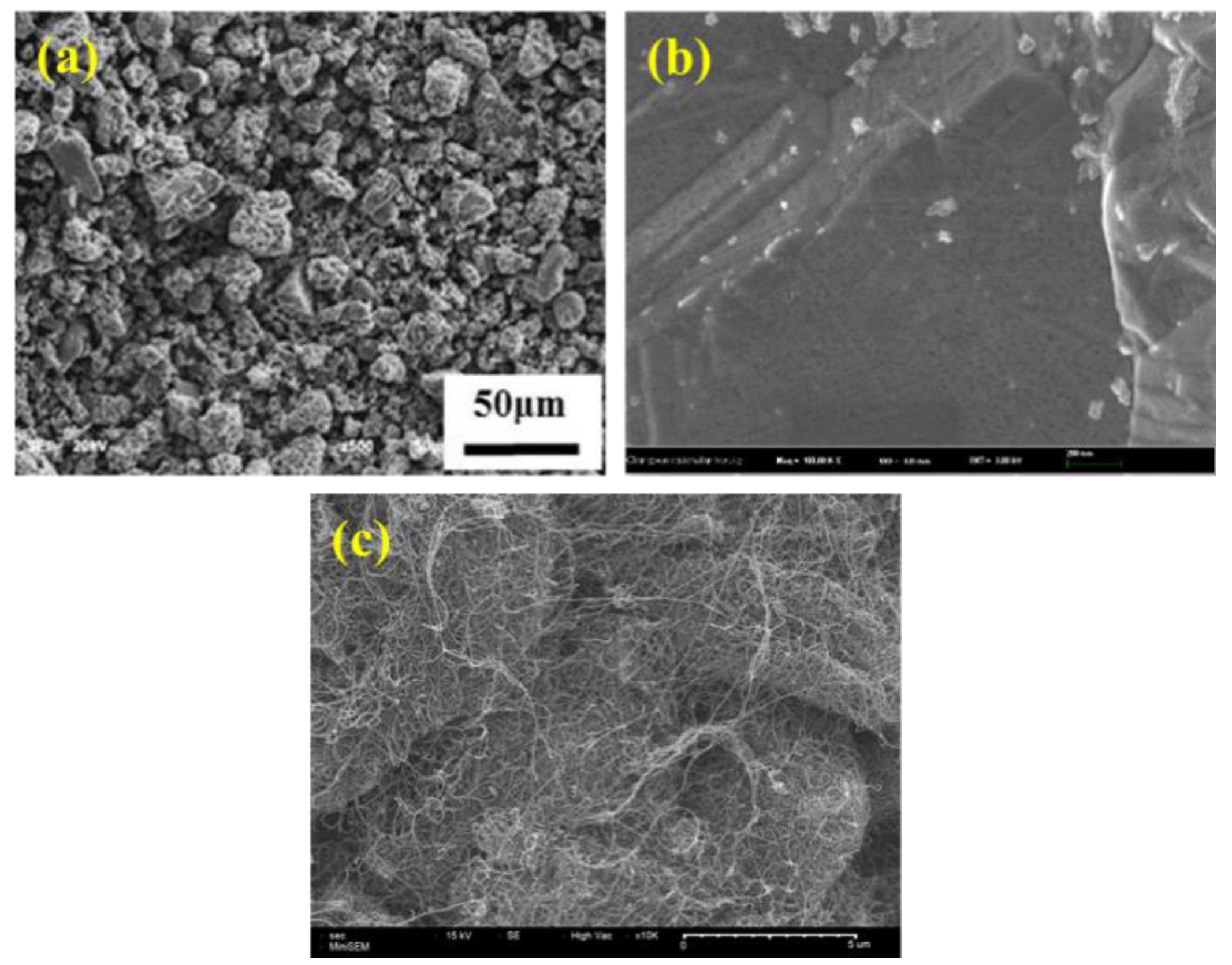 Coatings 10 00898 g001