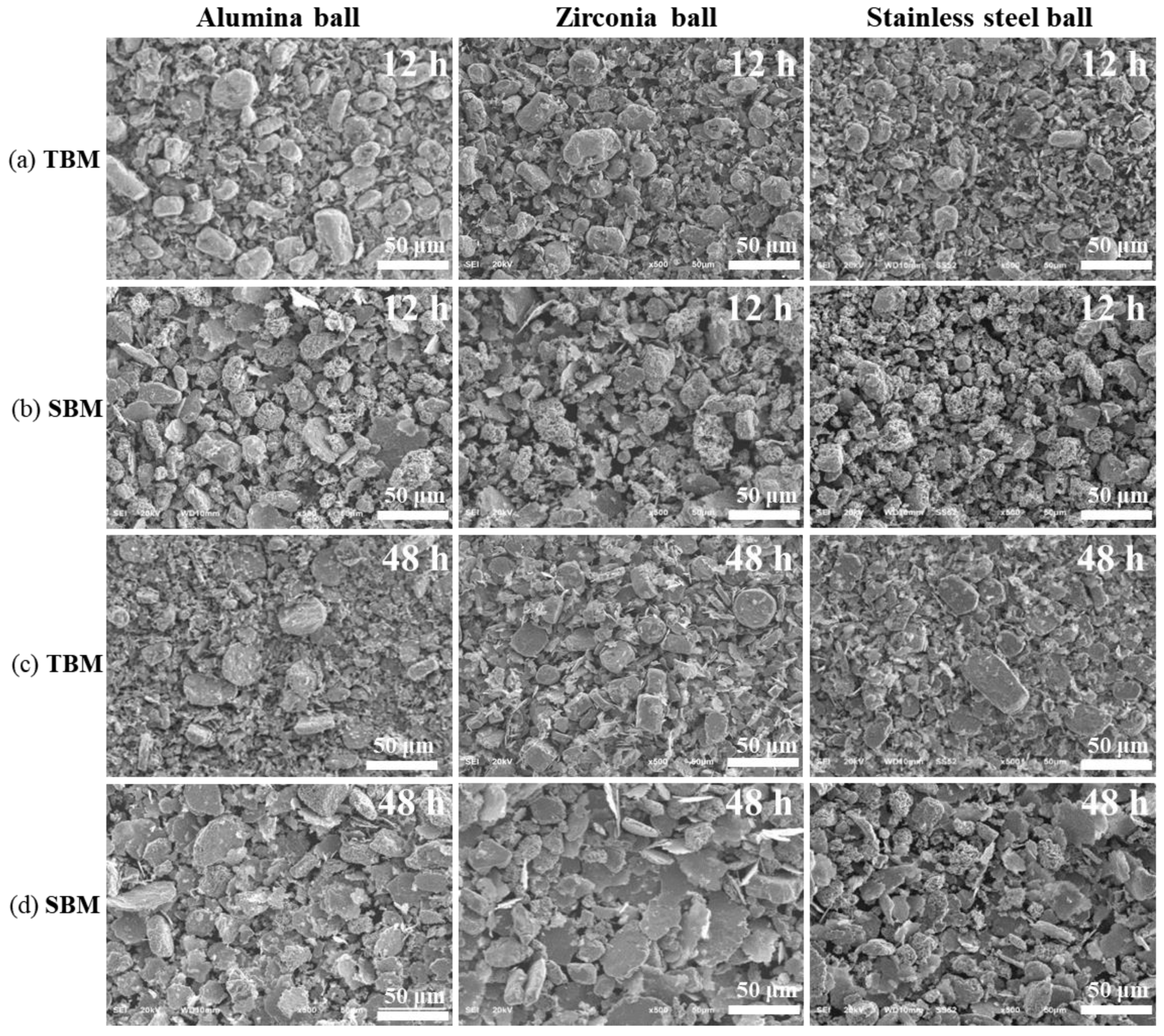 Coatings 10 00898 g003