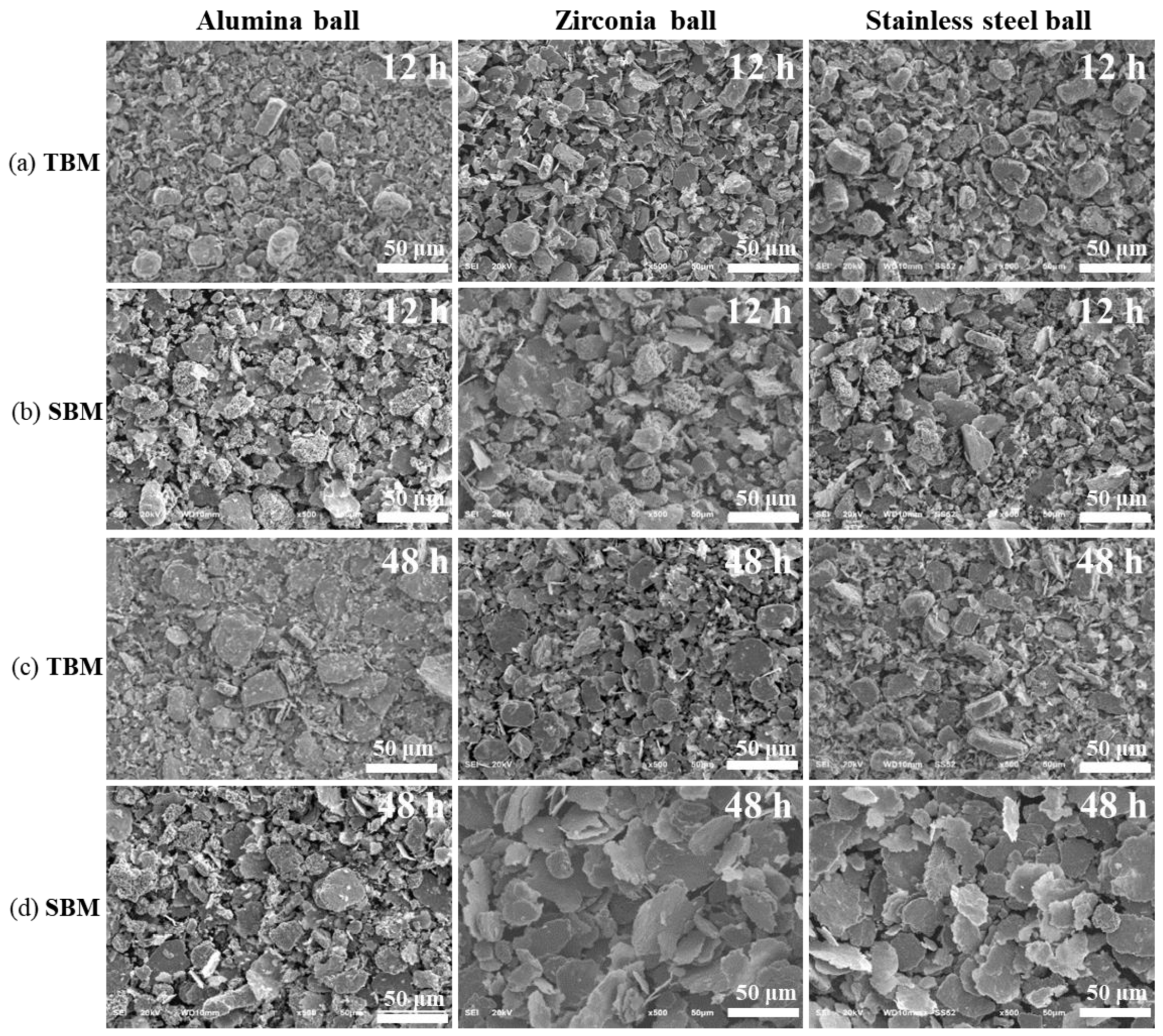 Coatings 10 00898 g004