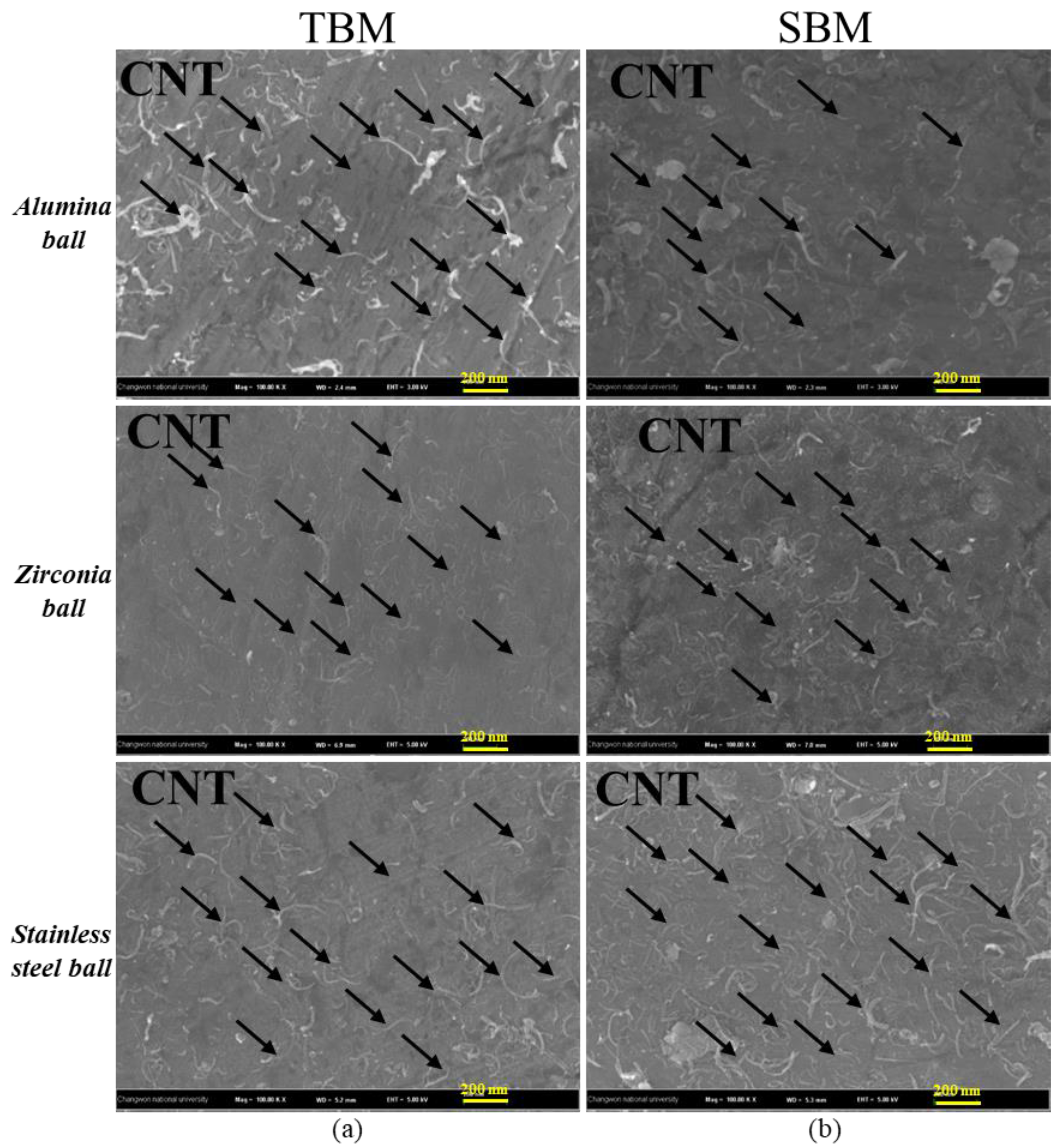 Coatings 10 00898 g008