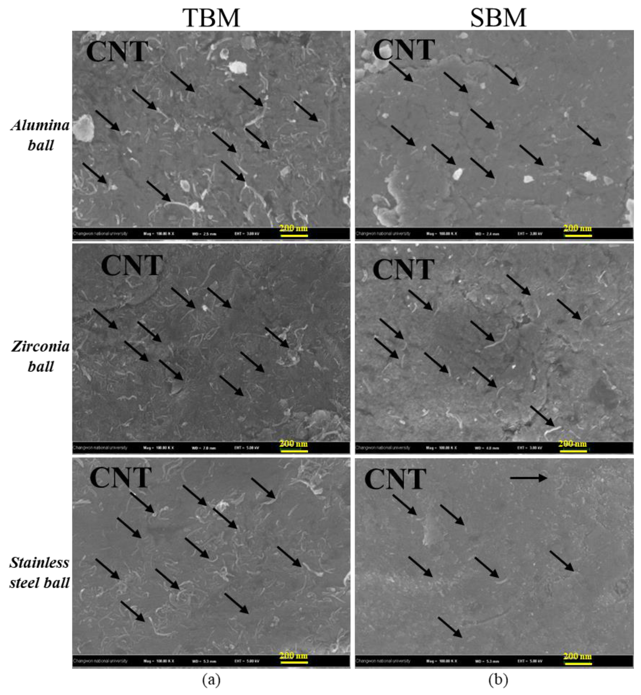 Coatings 10 00898 g009