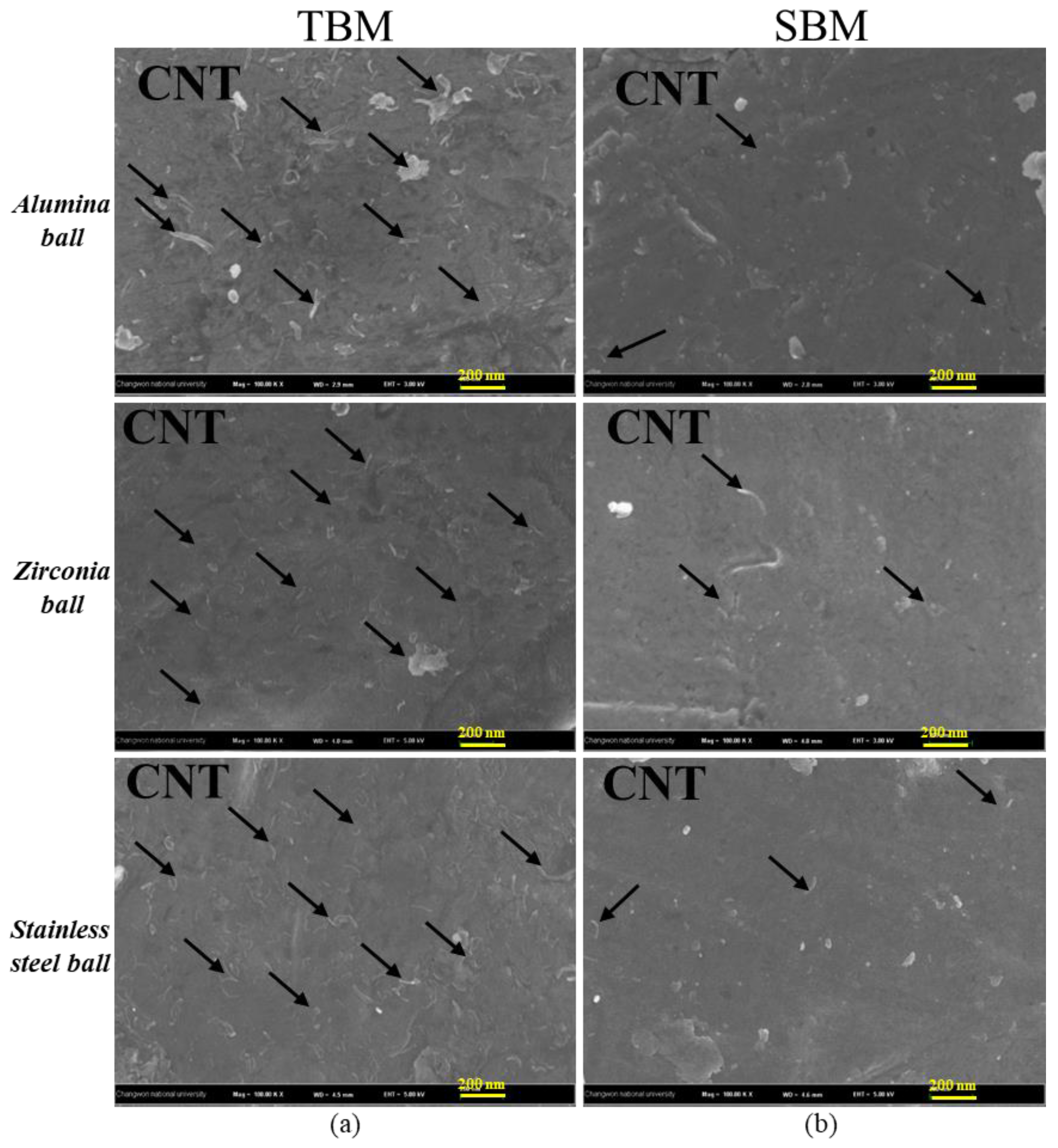 Coatings 10 00898 g011