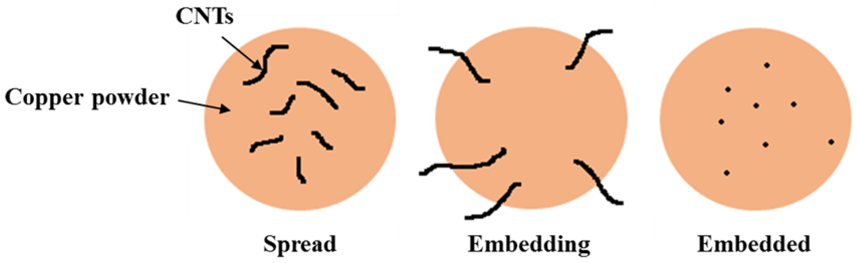 Coatings 10 00898 g012