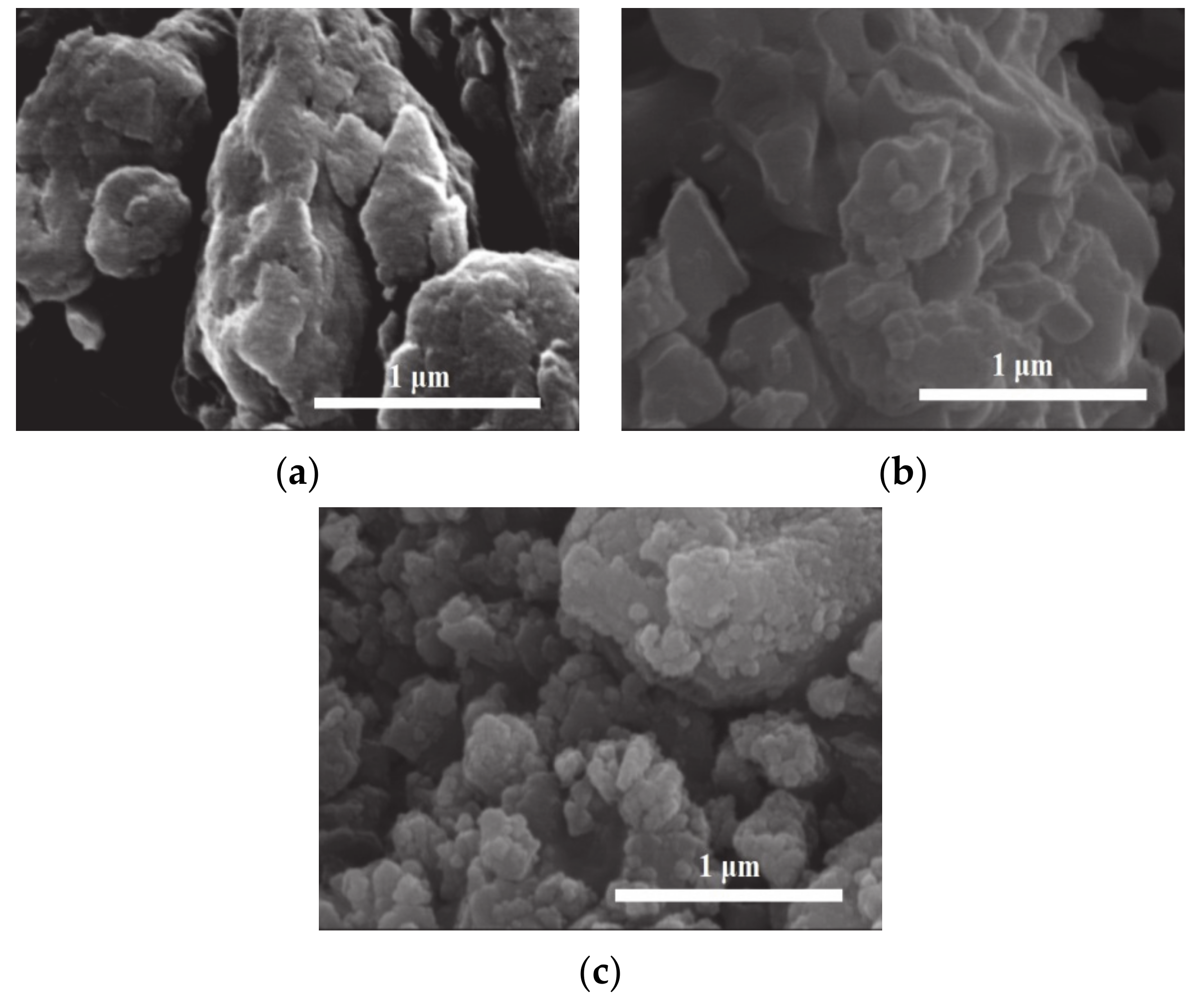 Coatings 10 00917 g002 Coatings 10 00917 g002