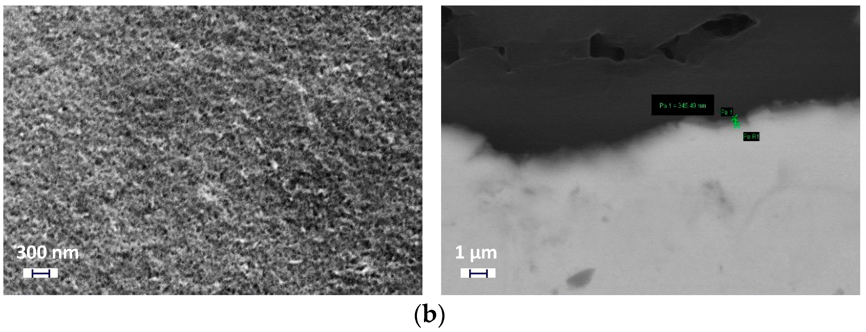 Coatings 10 00933 g002b