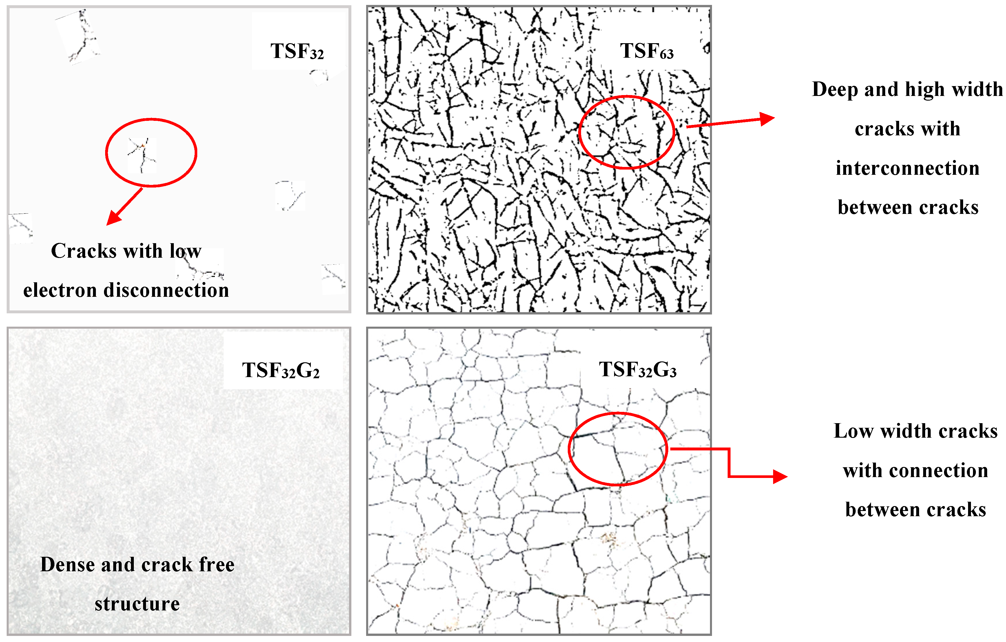 Coatings 10 00933 g012