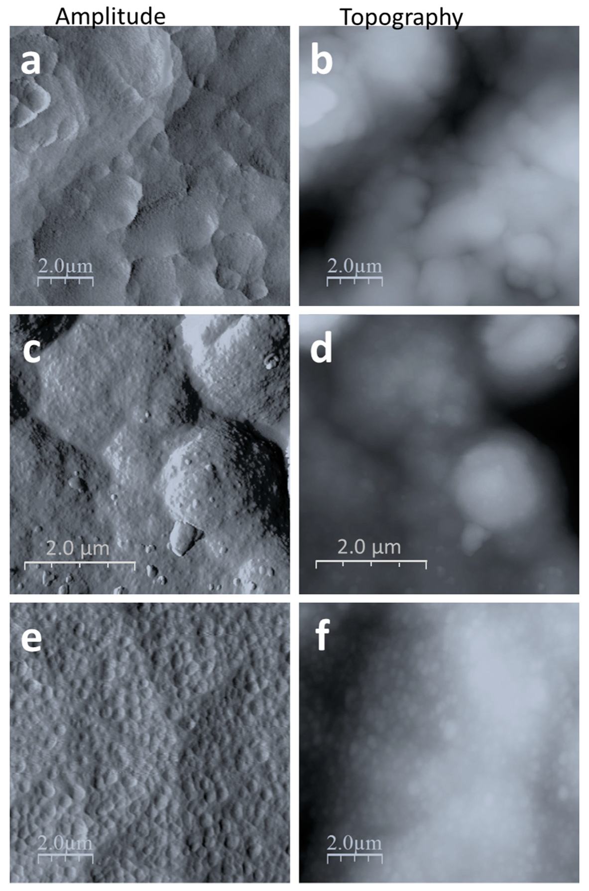 Coatings 10 00935 g003 Coatings 10 00935 g003
