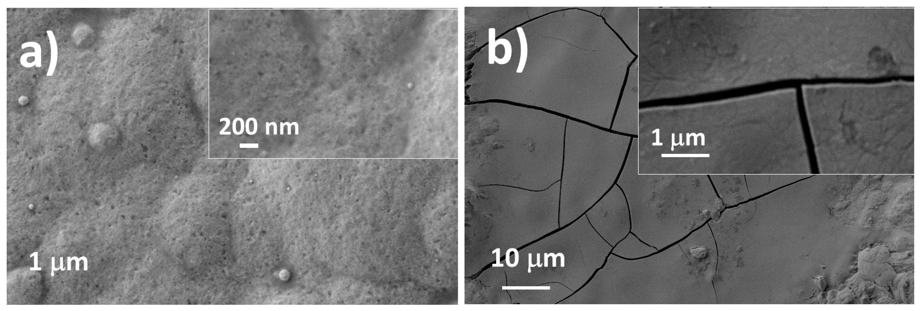 Coatings 10 00935 g004 Coatings 10 00935 g004