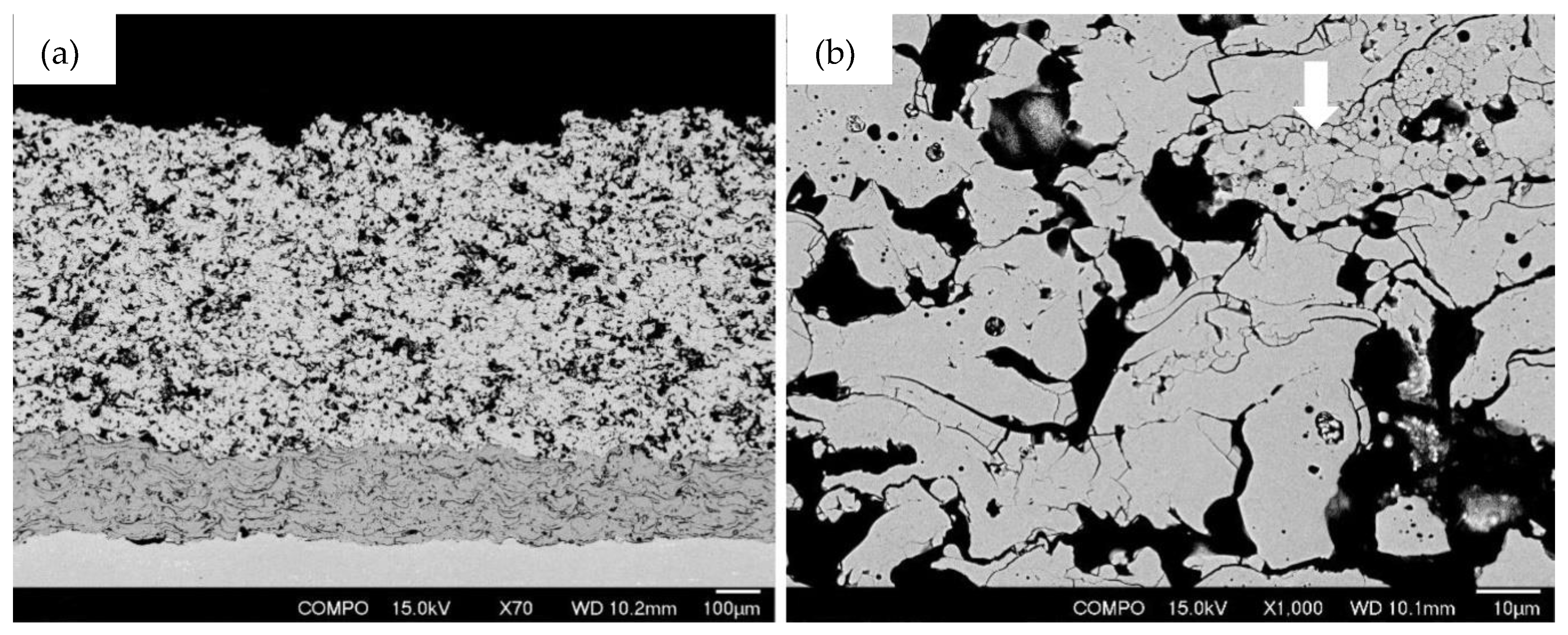 Coatings 10 00957 g002