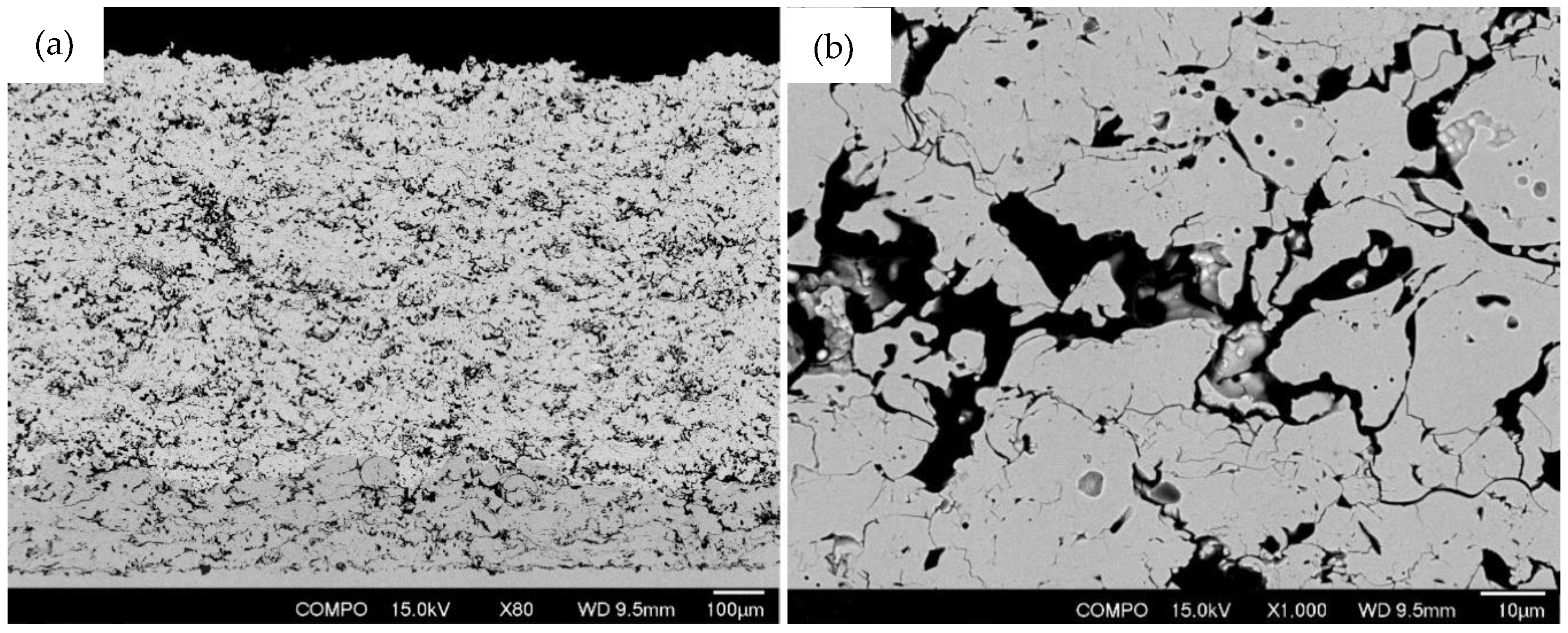 Coatings 10 00957 g003