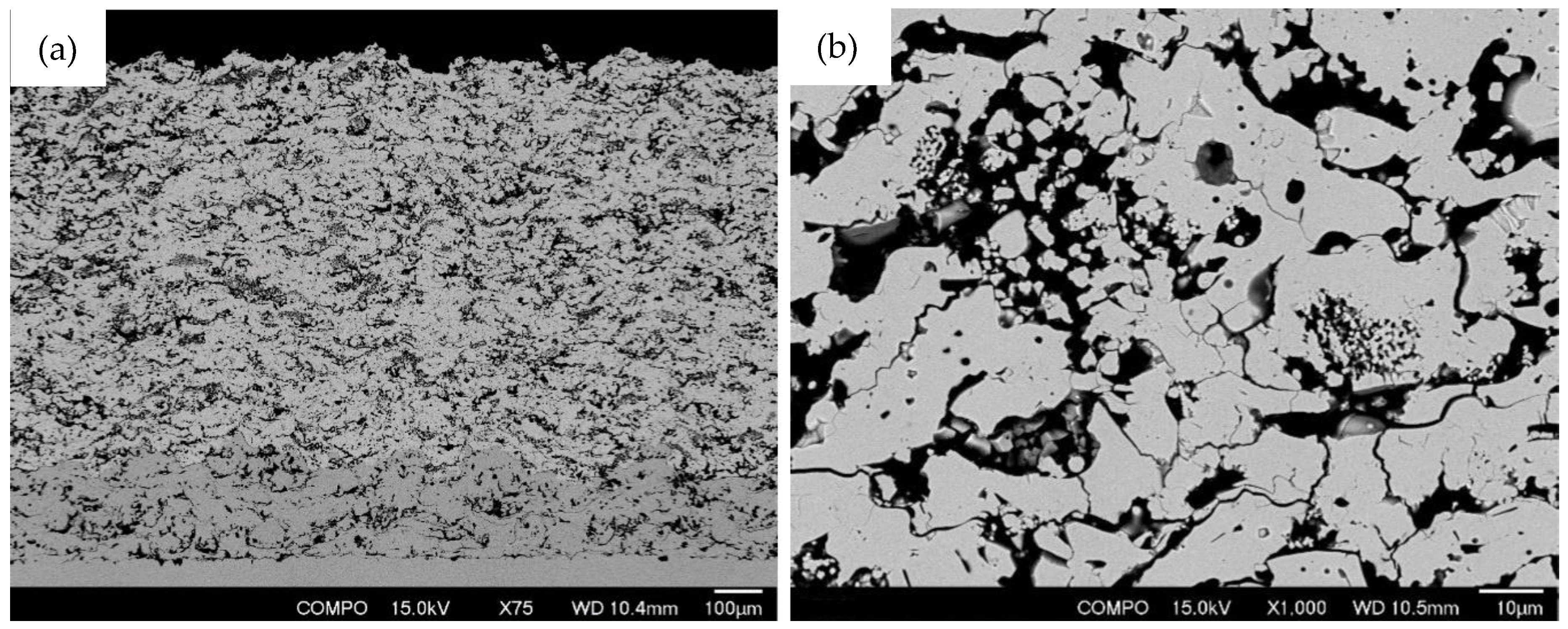 Coatings 10 00957 g004