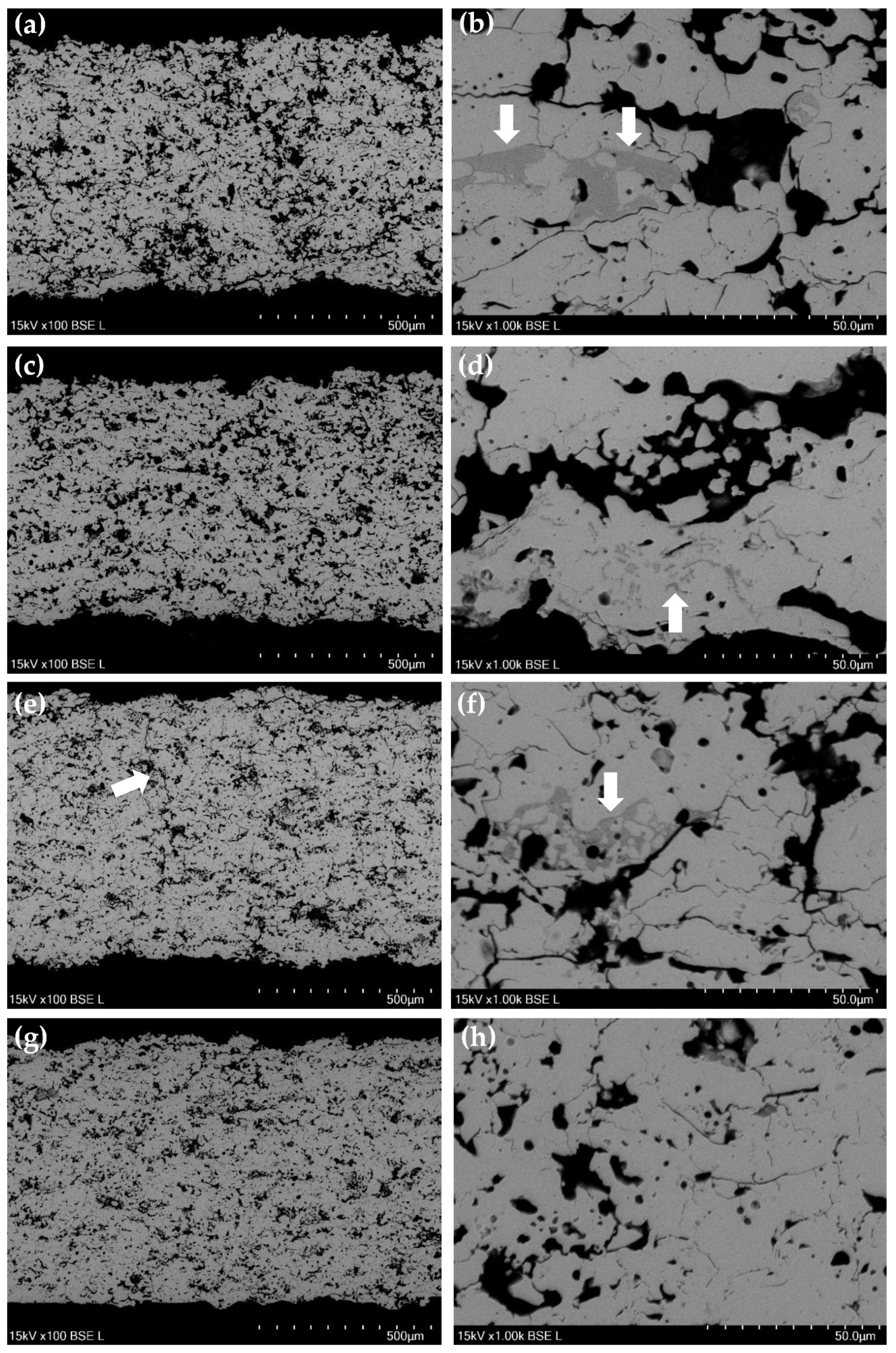 Coatings 10 00957 g012