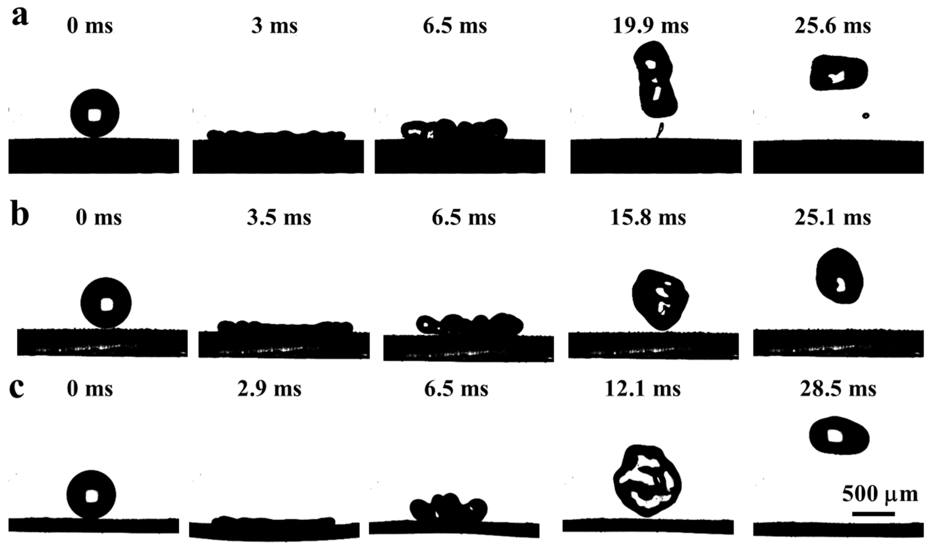 Coatings 10 00964 g005