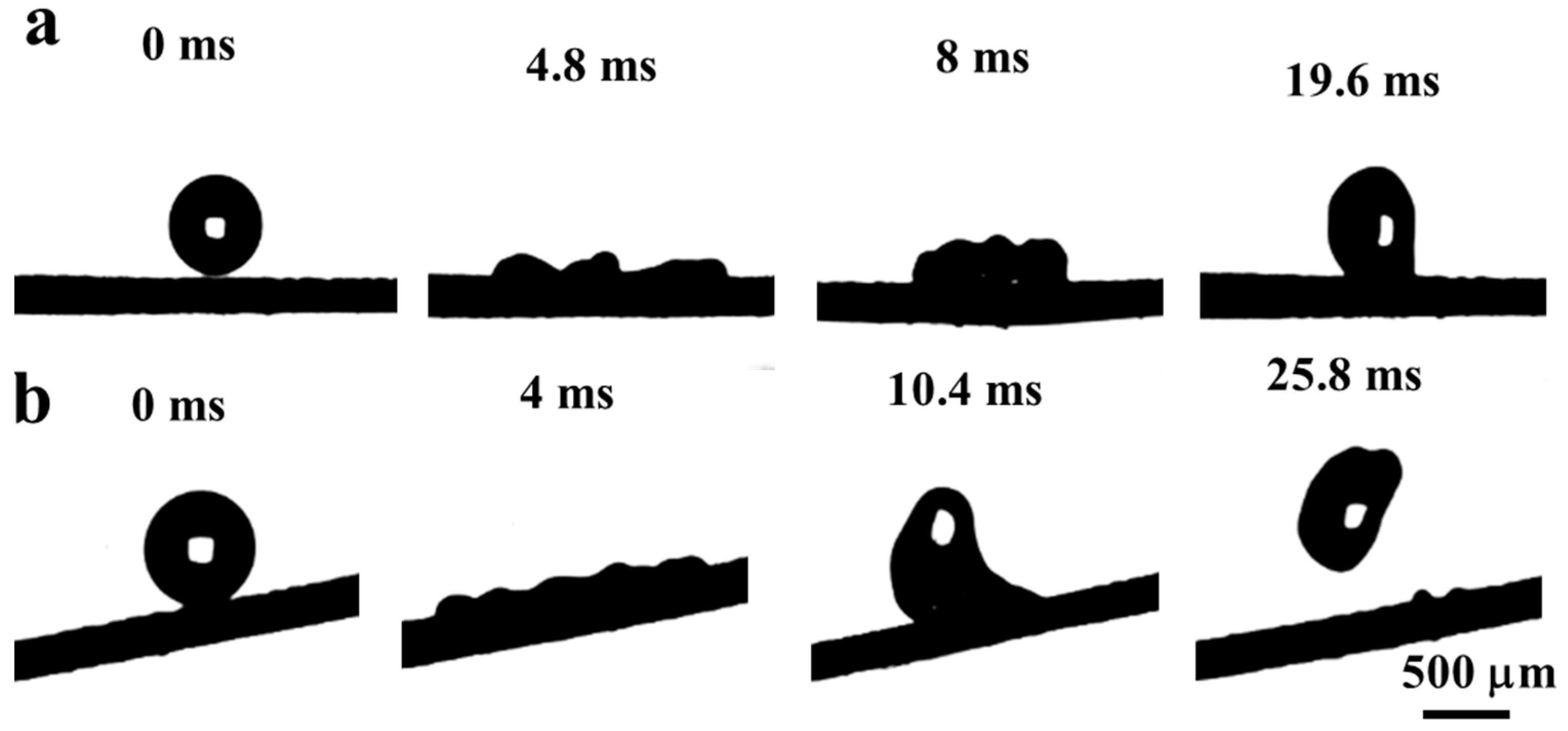 Coatings 10 00964 g010
