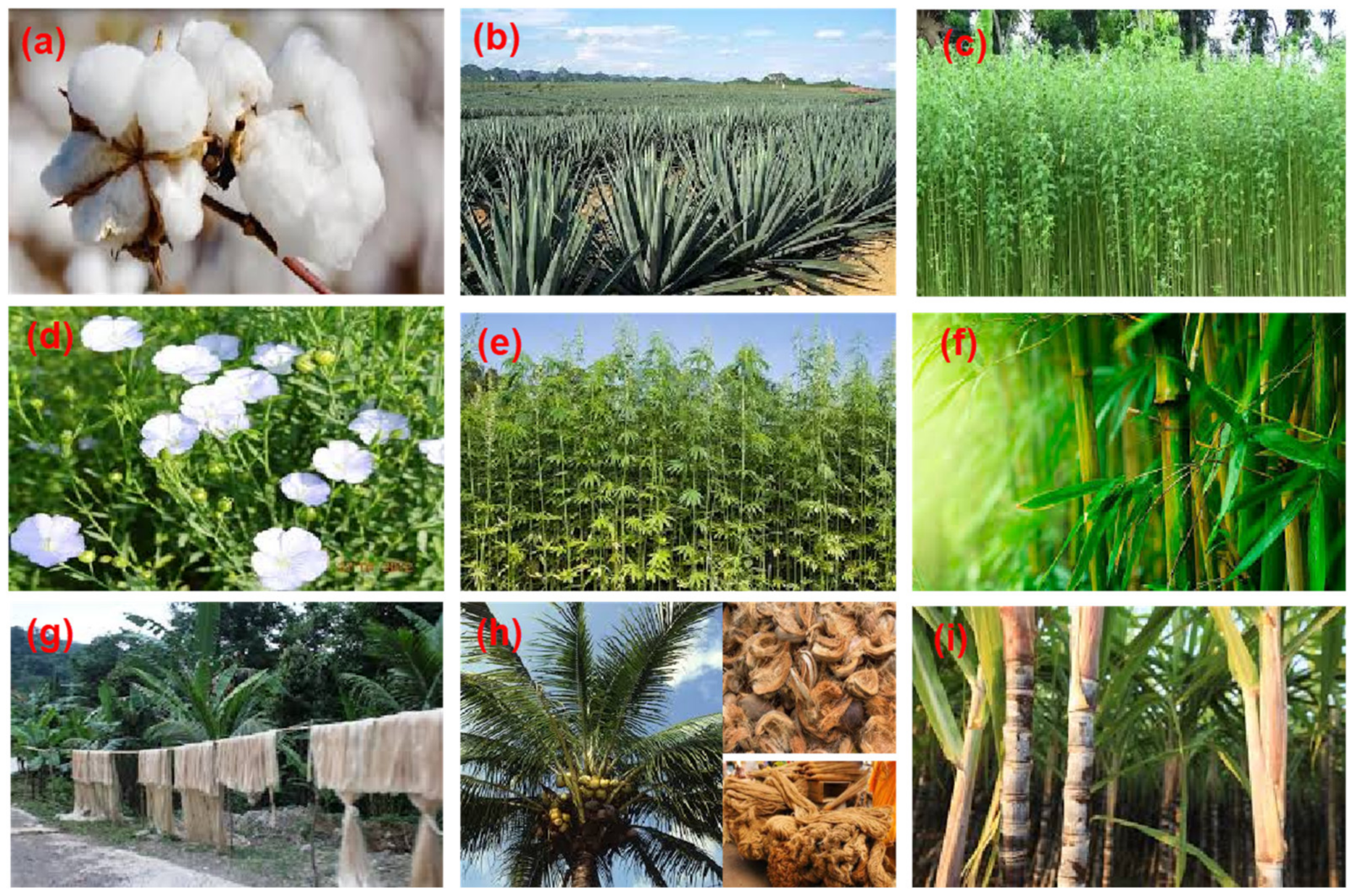 Coatings 10 00973 g003