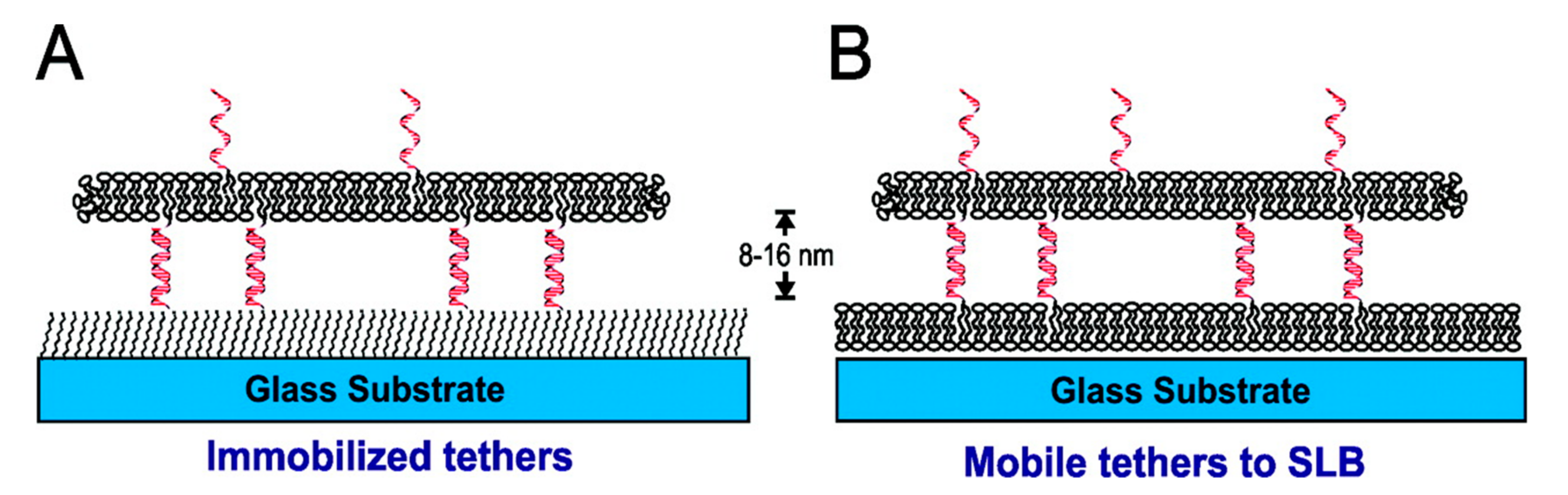 Coatings 10 00981 g007