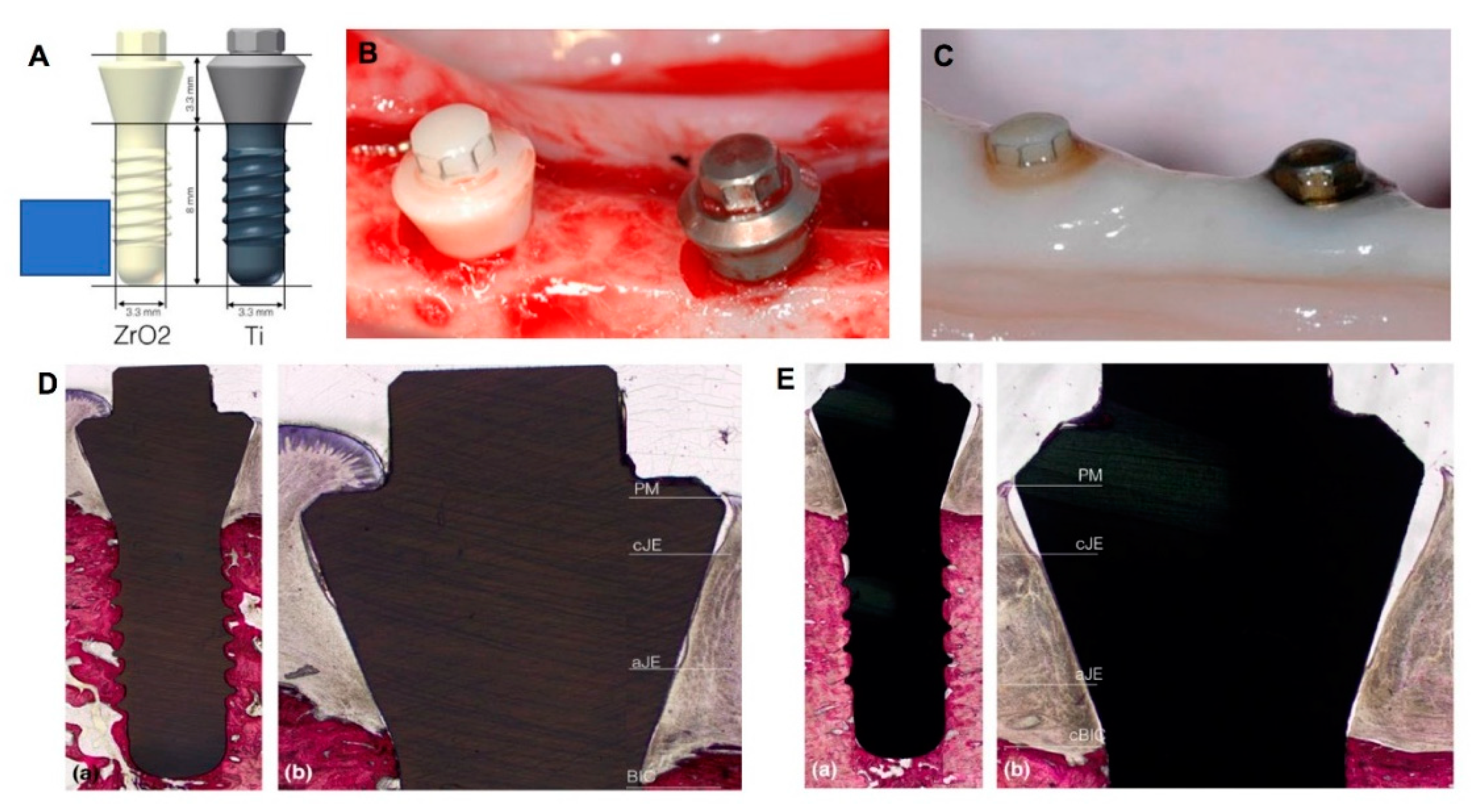 Coatings 10 01012 g004