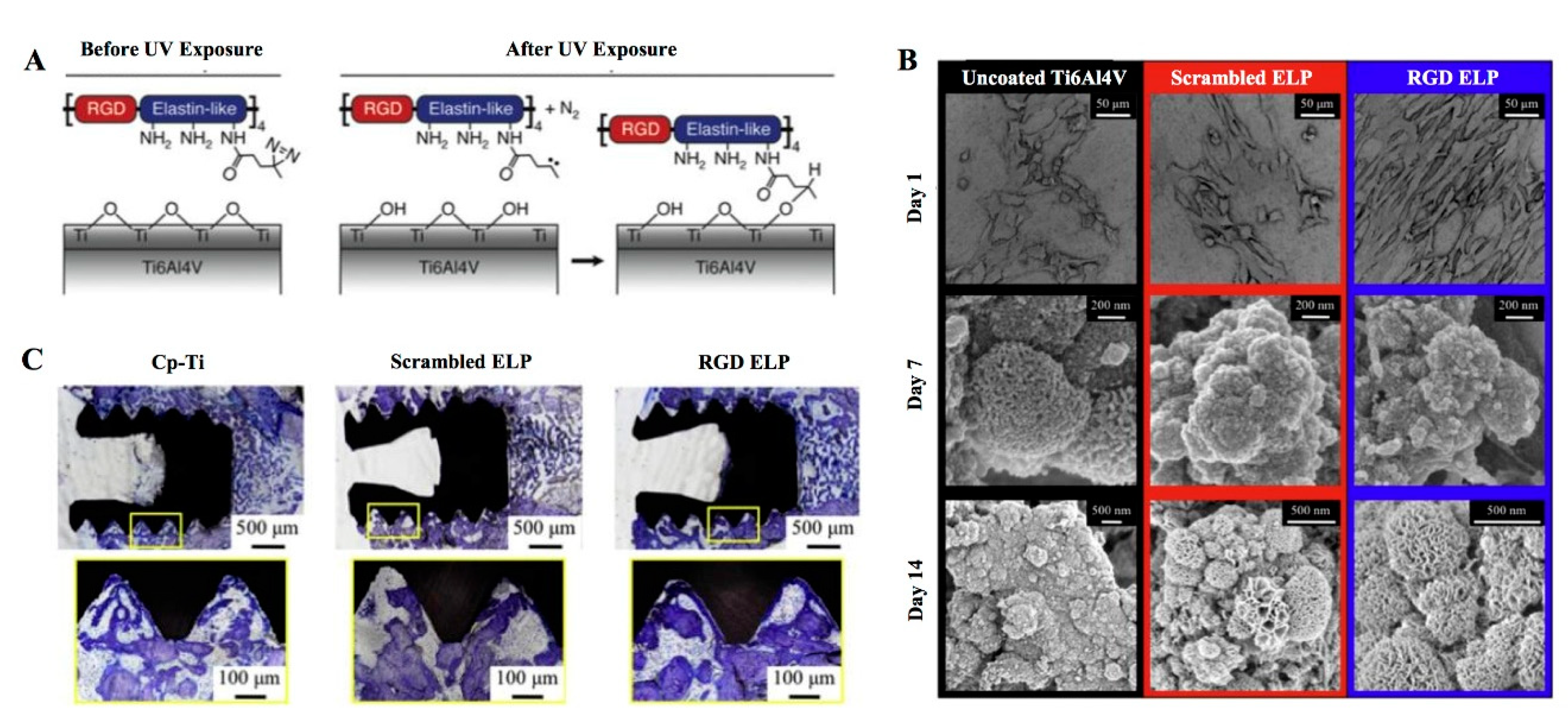 Coatings 10 01012 g006