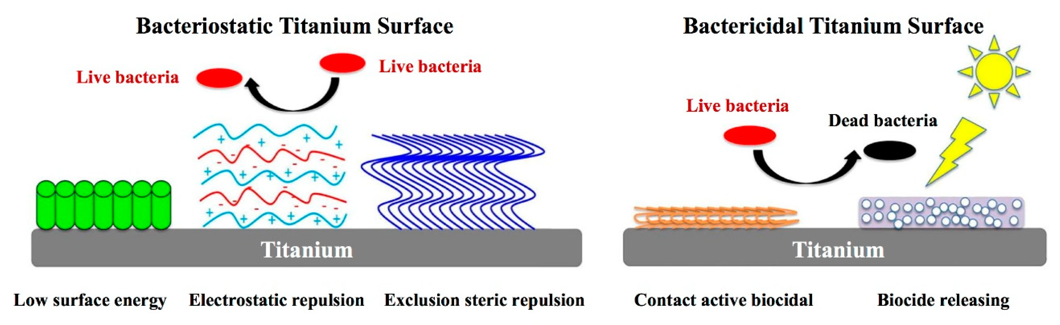 Coatings 10 01012 g007