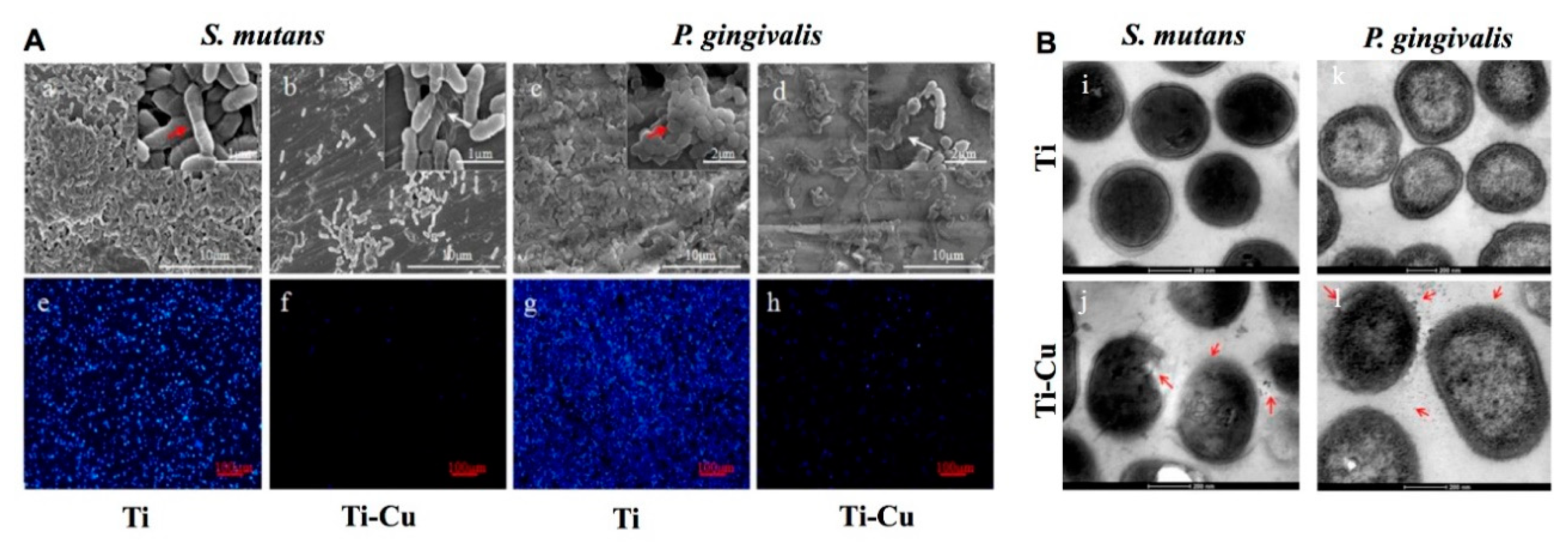 Coatings 10 01012 g008