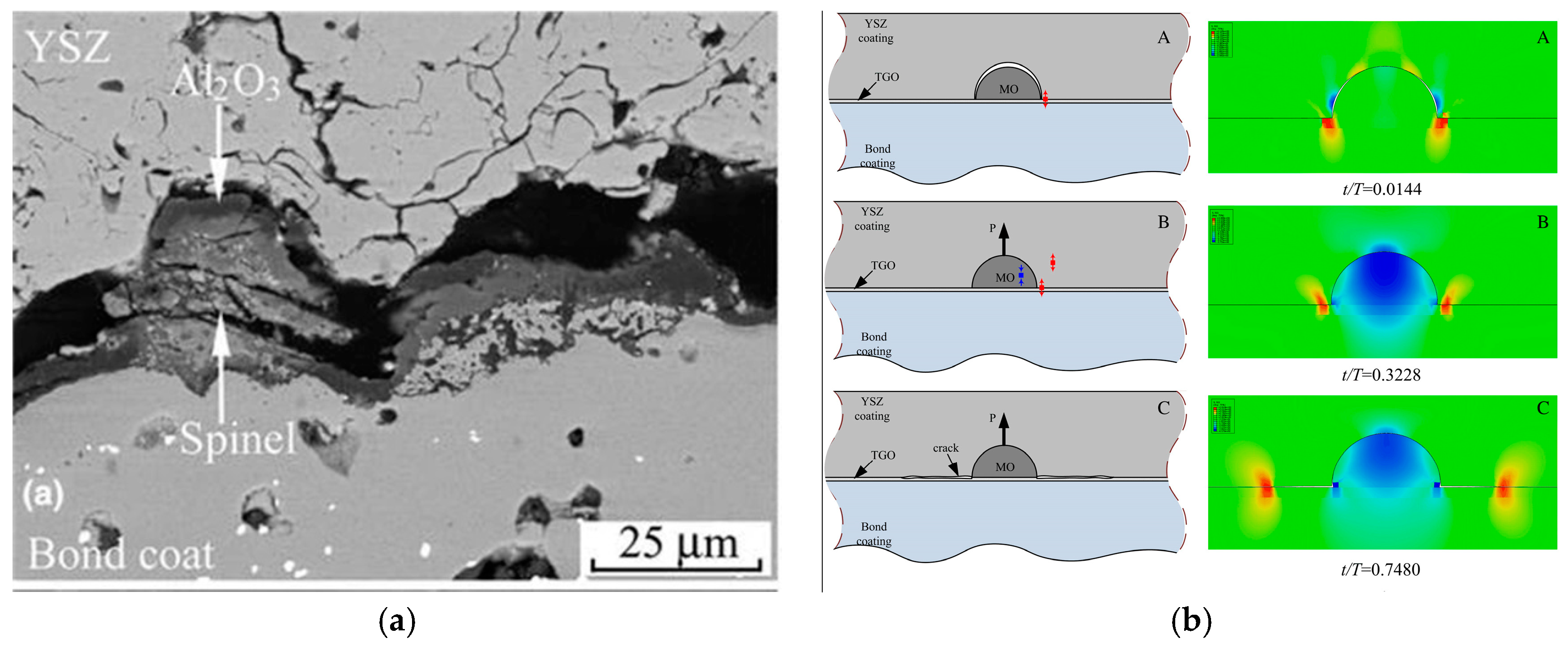 Coatings 10 01022 g006 Coatings 10 01022 g006