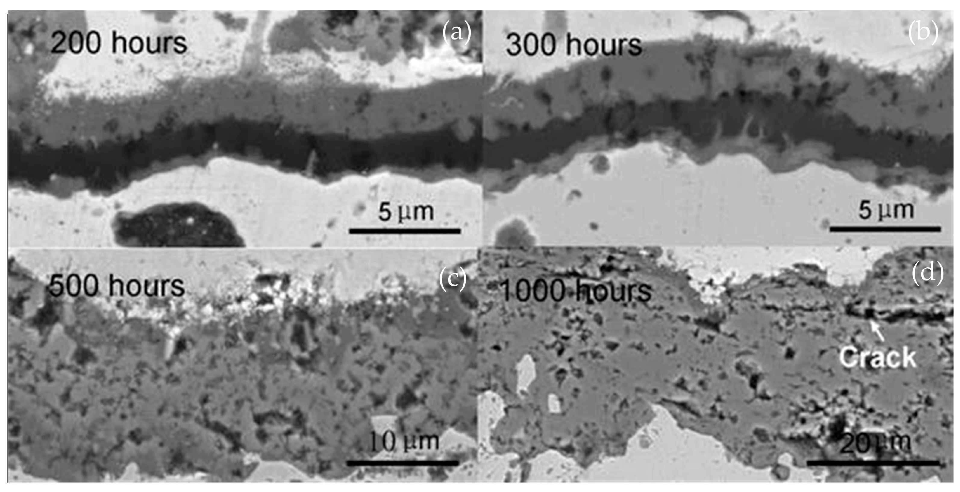 Coatings 10 01022 g007 Coatings 10 01022 g007
