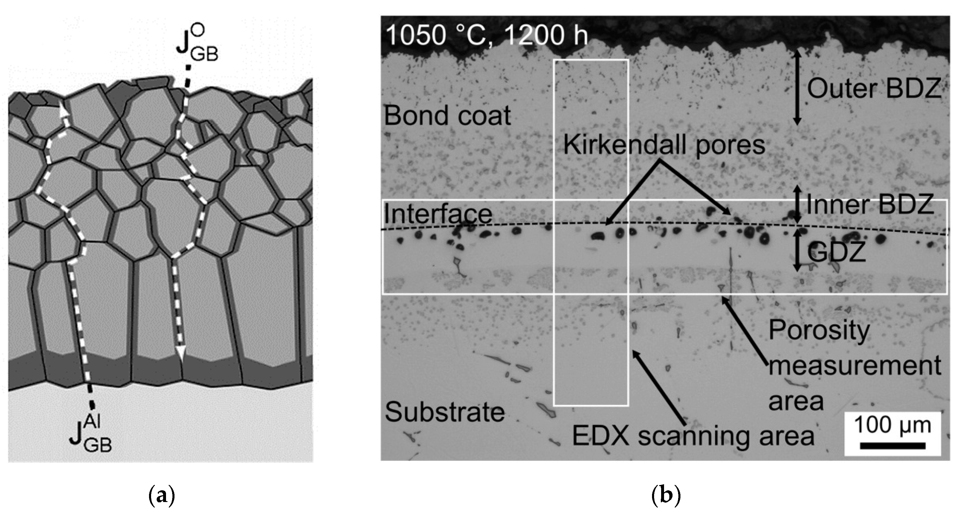 Coatings 10 01022 g010 Coatings 10 01022 g010