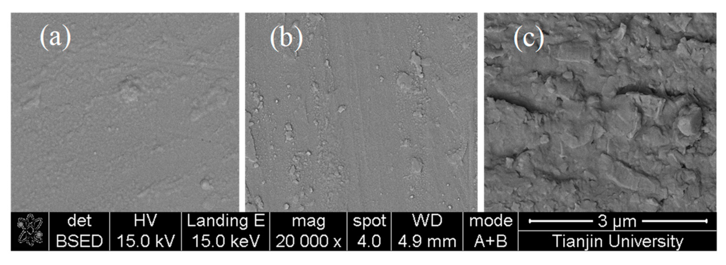 Coatings 10 01036 g001