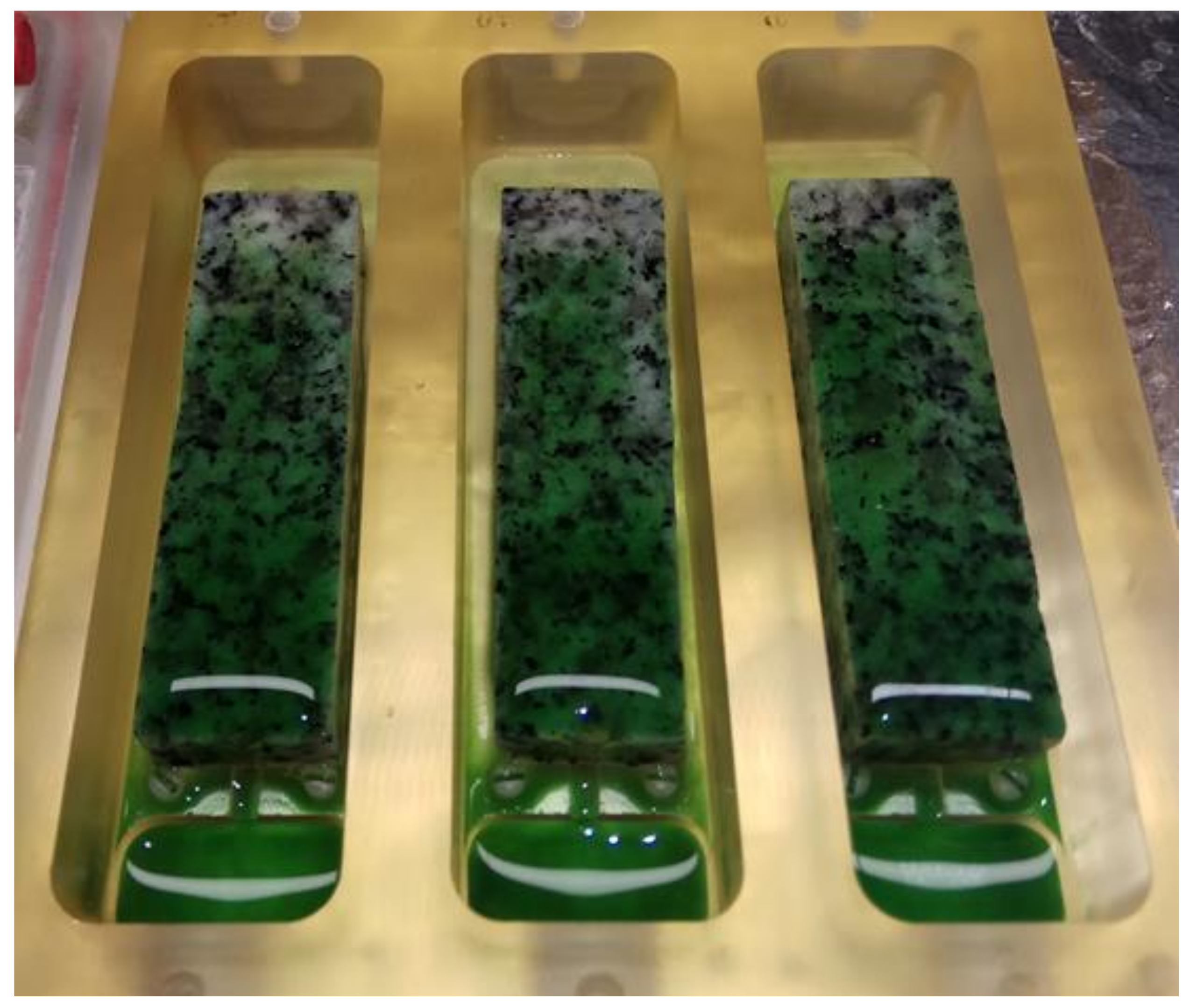 Coatings 10 01049 g001 Coatings 10 01049 g001