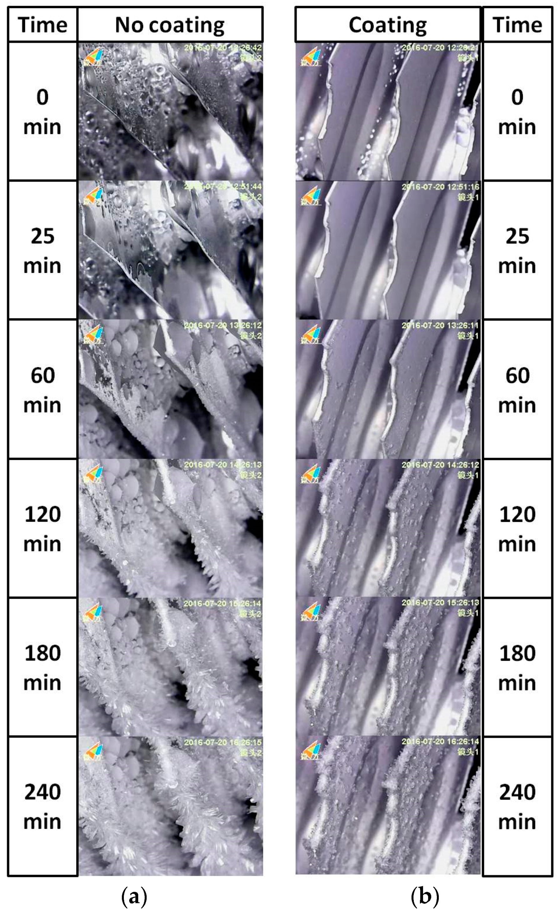 Coatings 10 01051 g007 Coatings 10 01051 g007