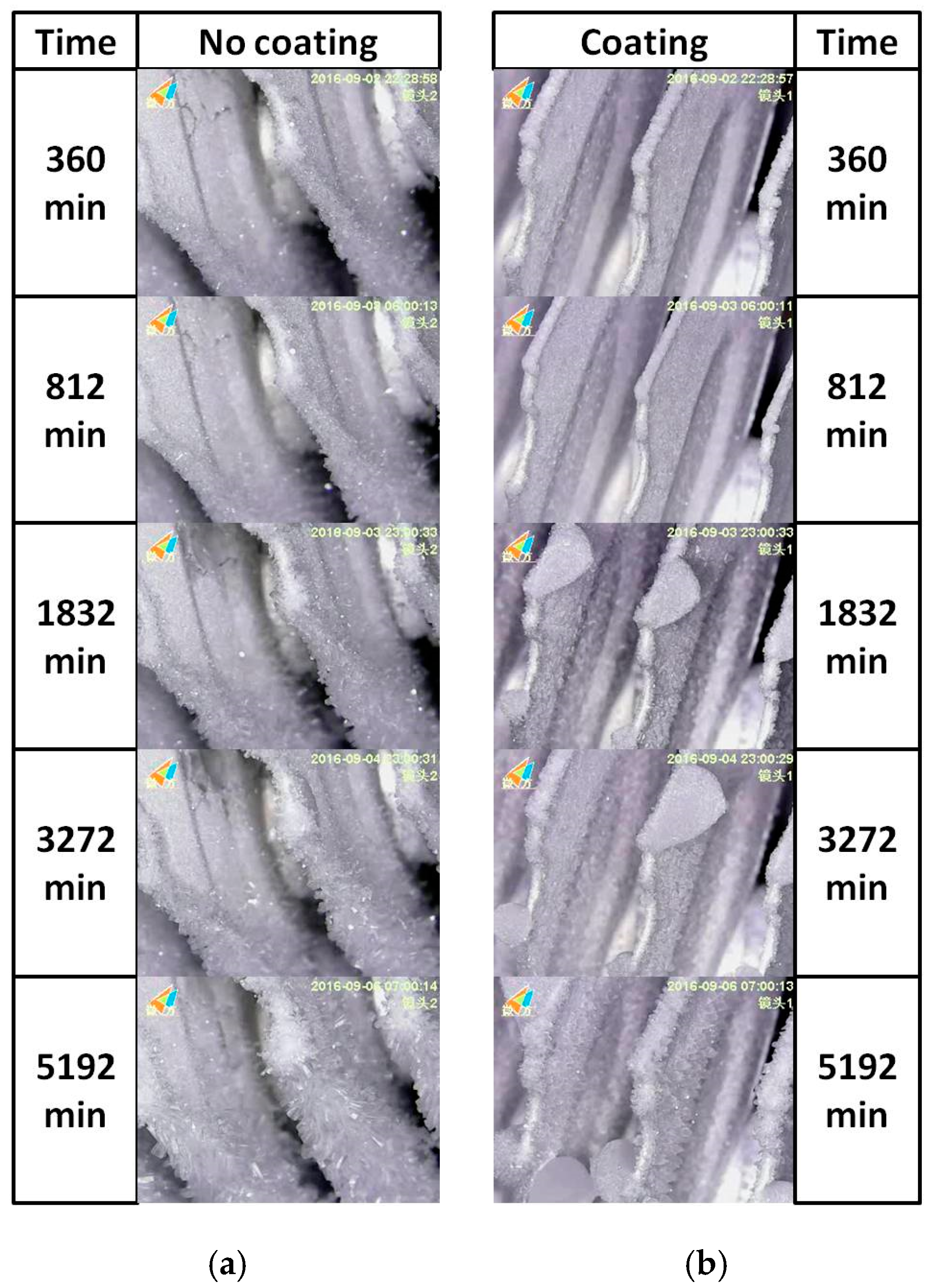 Coatings 10 01051 g008 Coatings 10 01051 g008